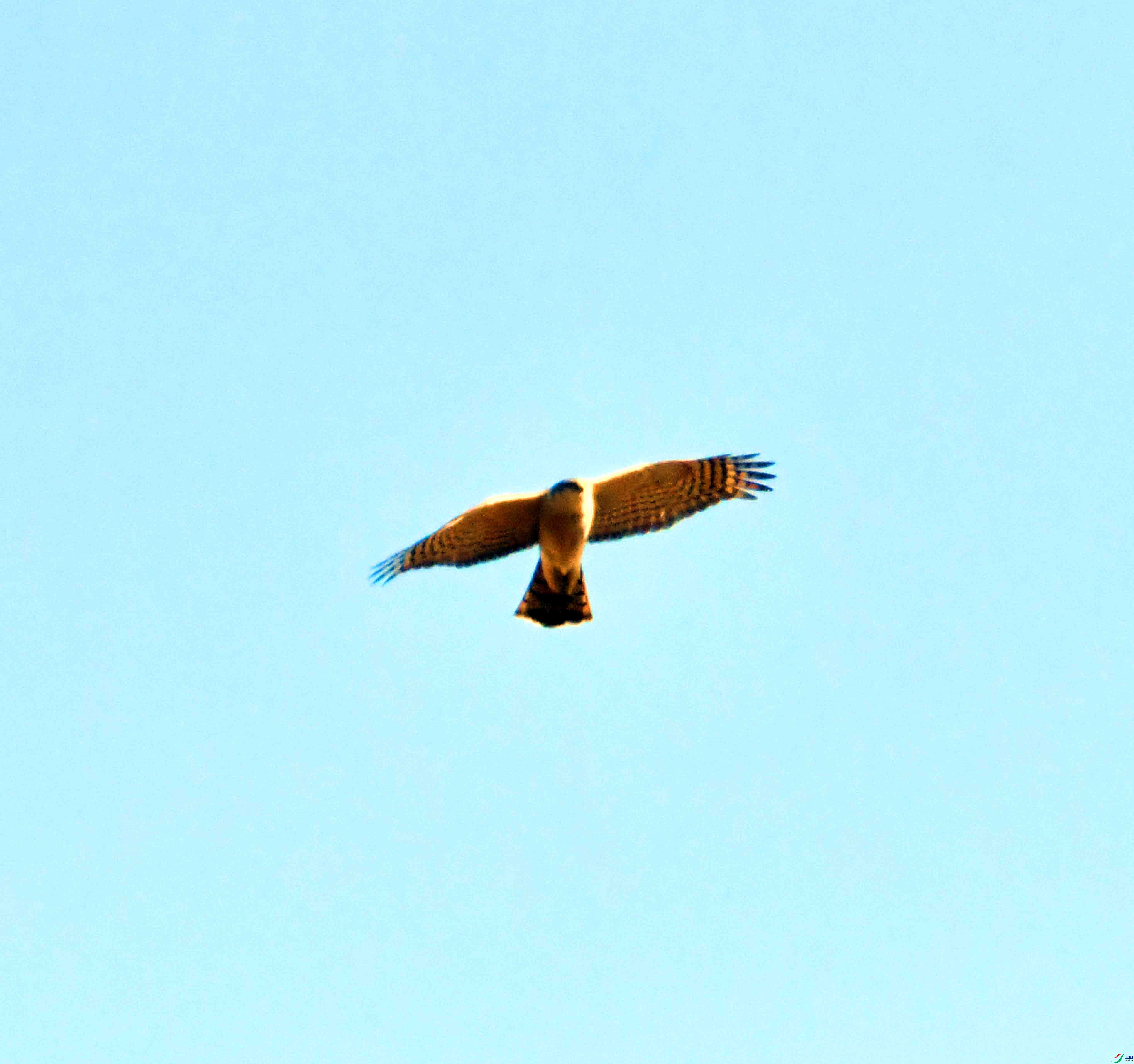 DSC_1075.JPG