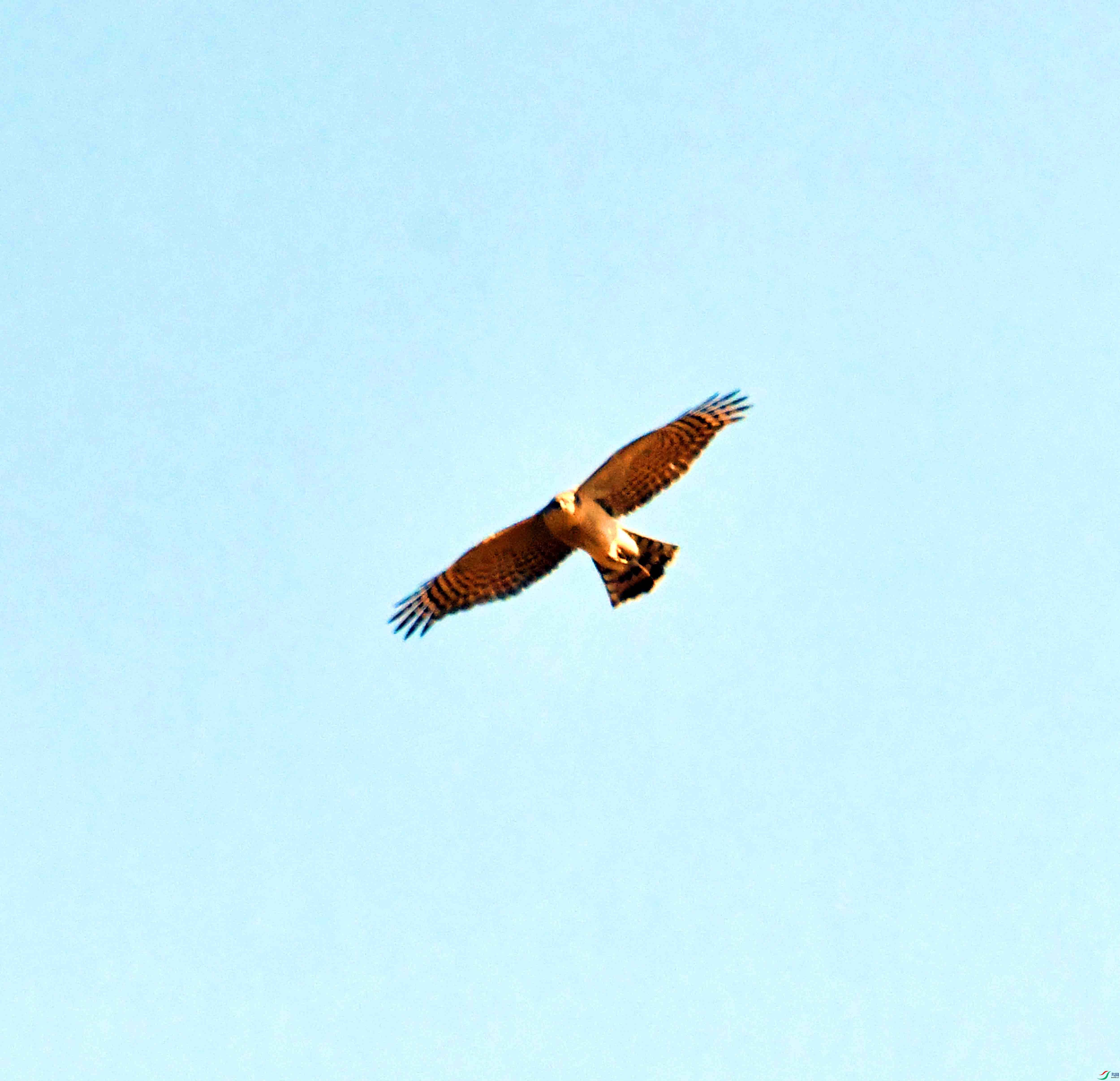 DSC_1076.JPG