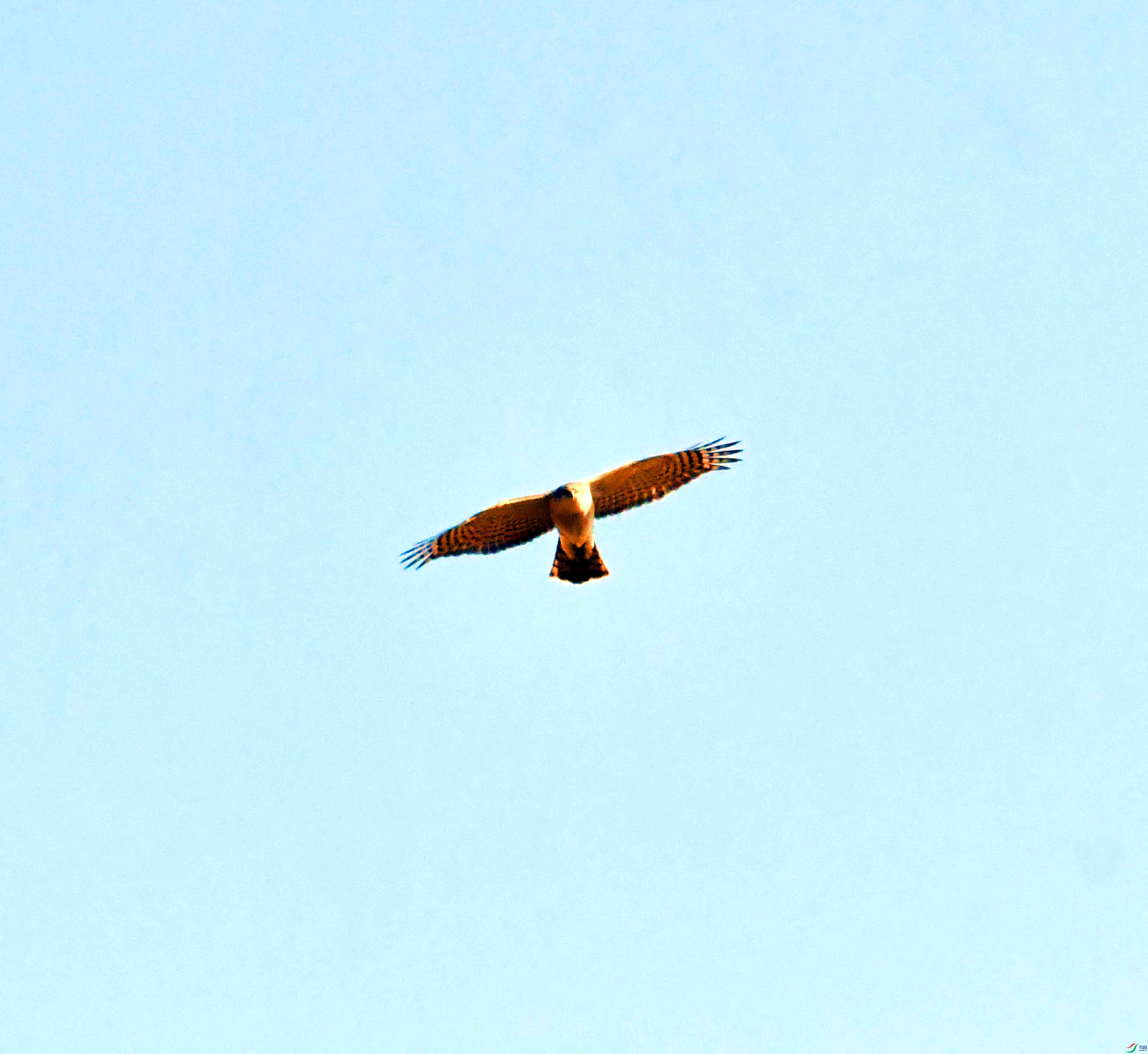 DSC_1095.JPG