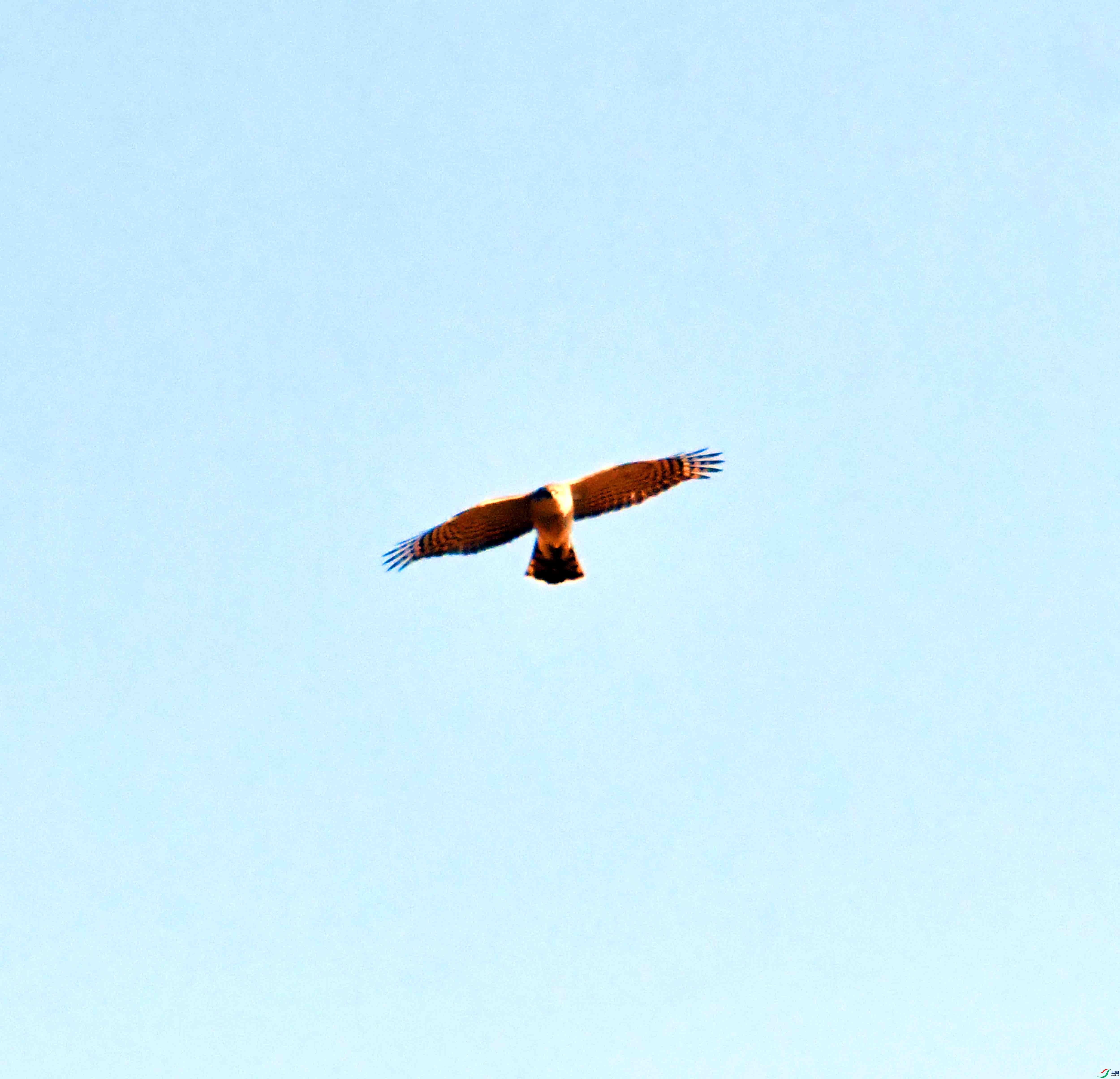 DSC_1094.JPG