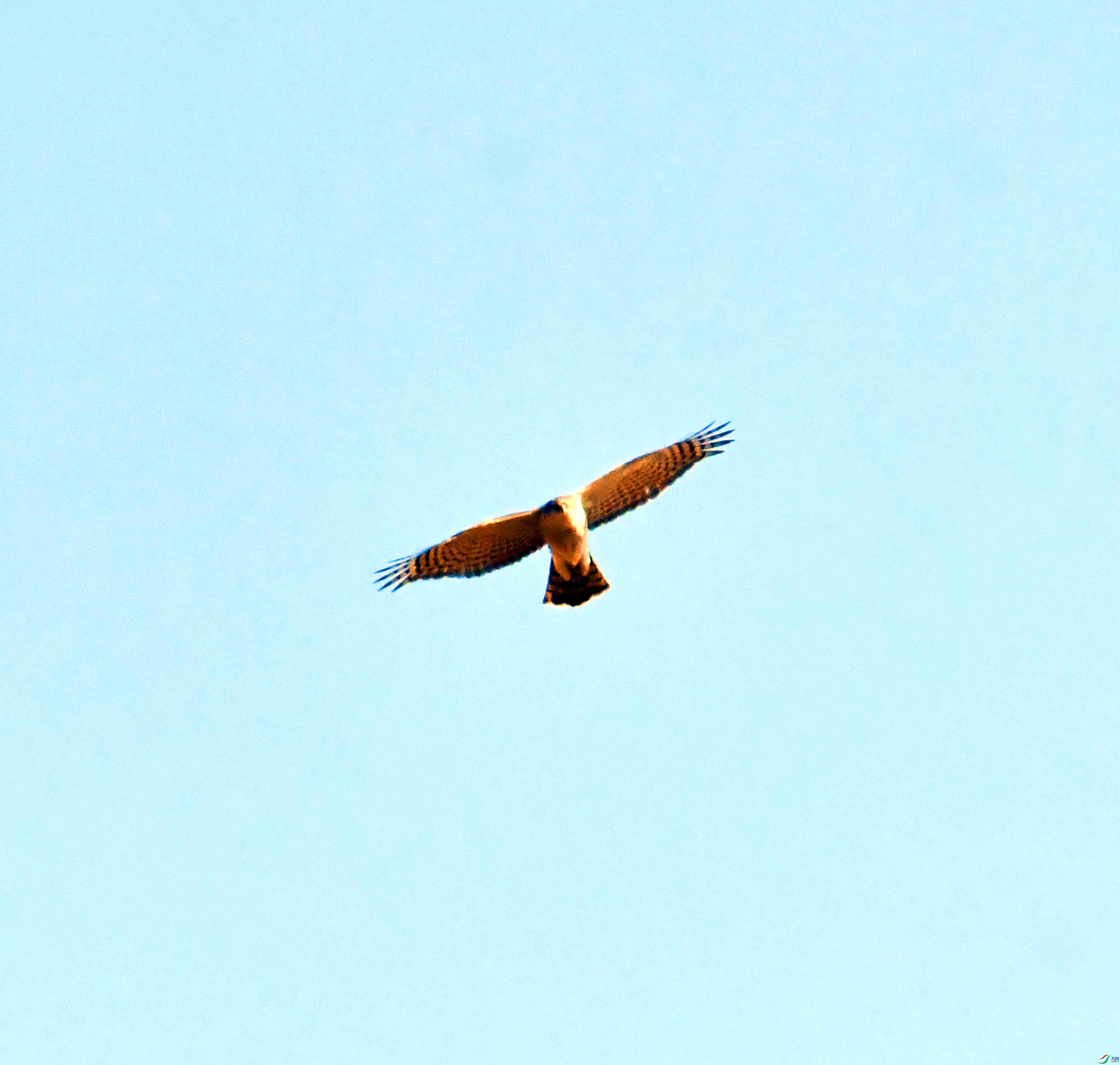DSC_1096.JPG