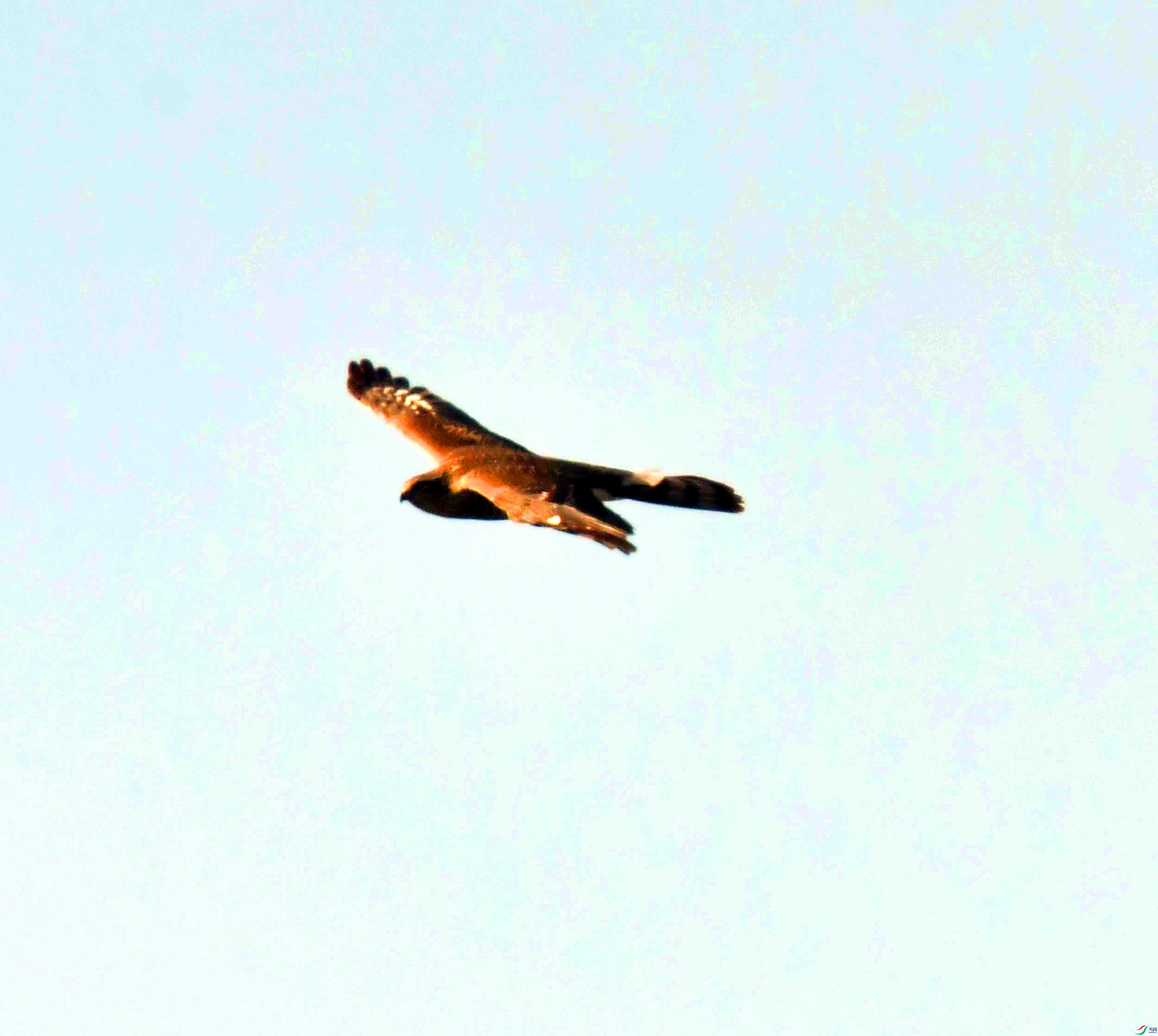 DSC_8412.JPG