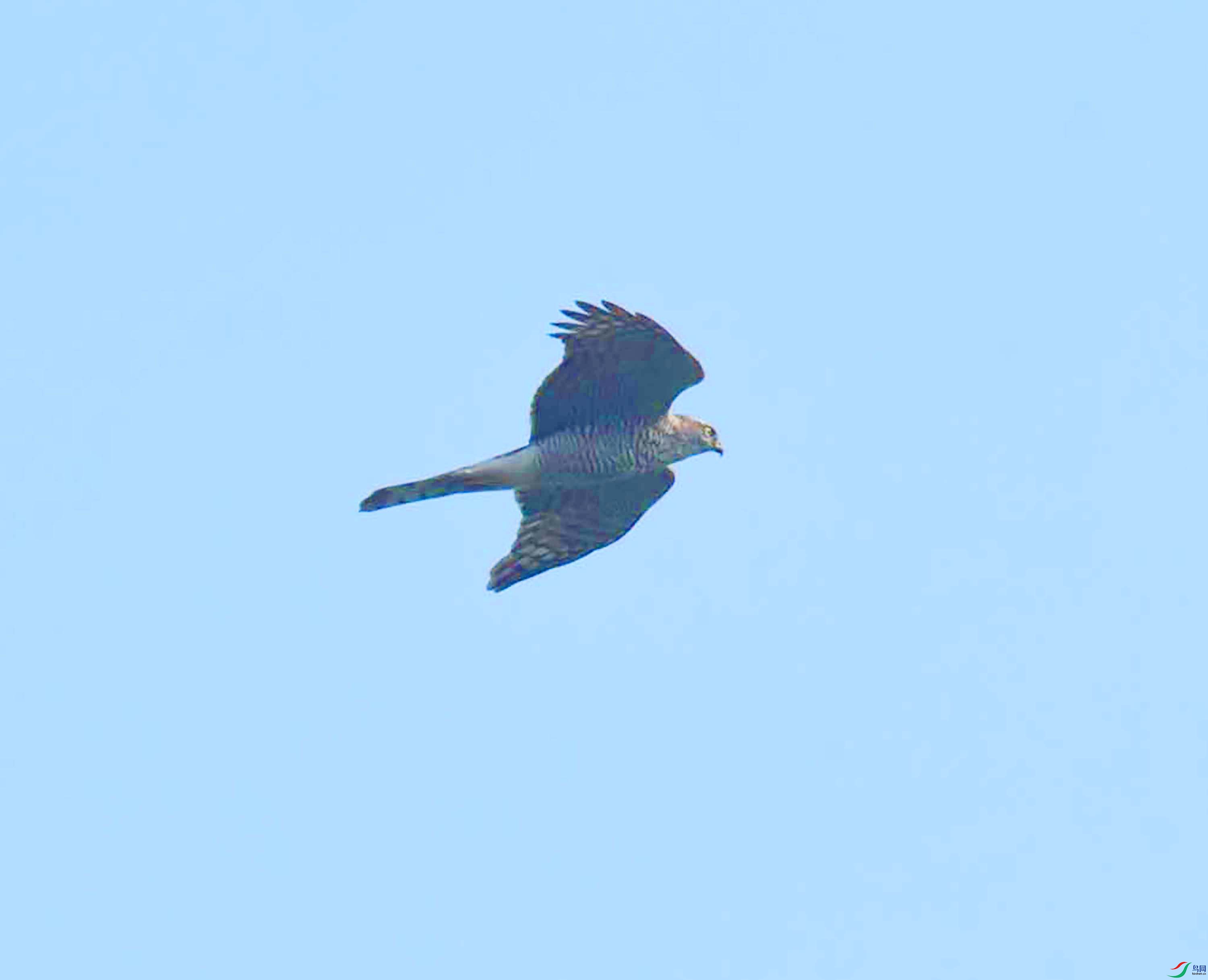 DSC_7225.JPG