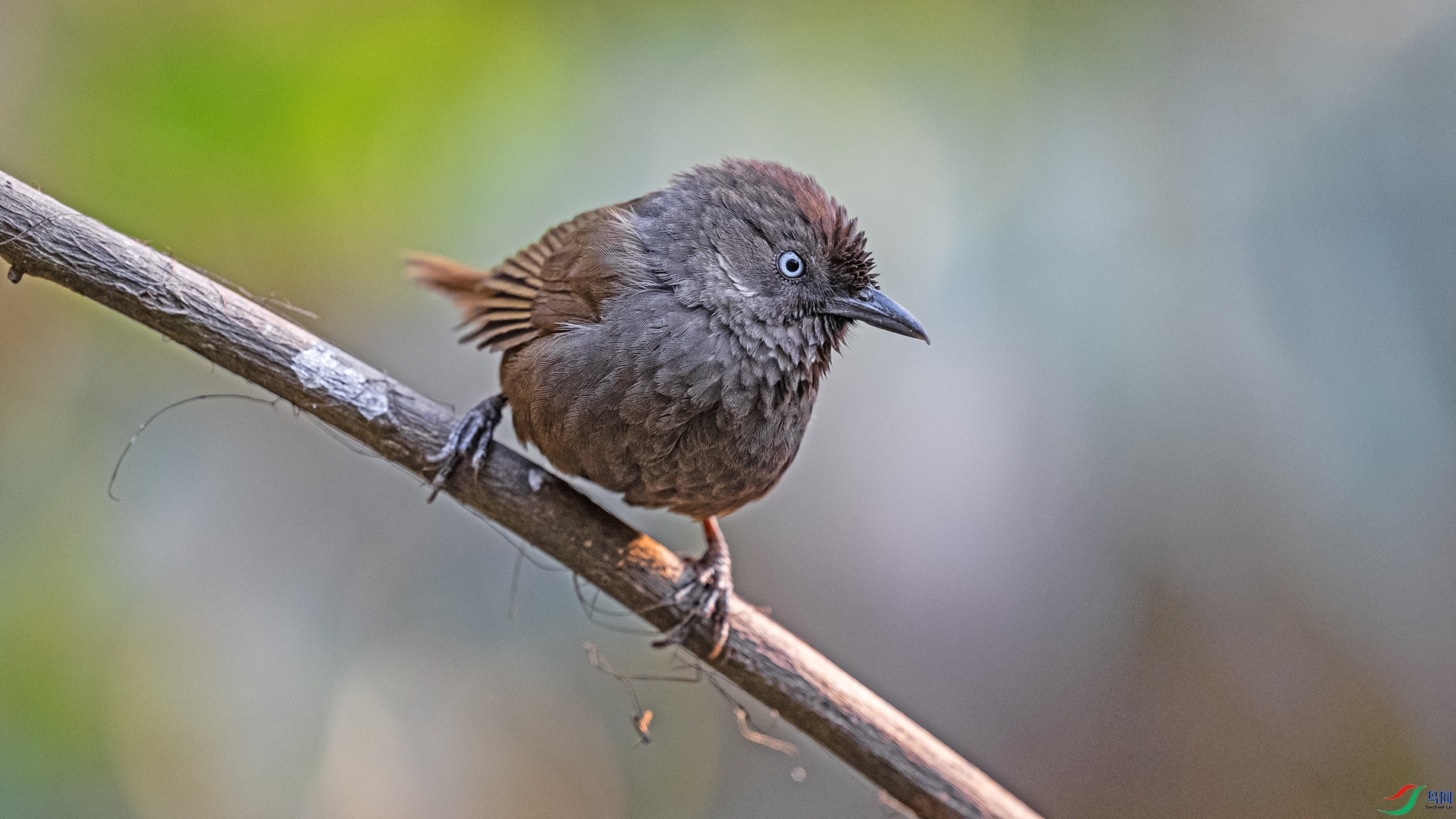 DSC_6089 ����.jpg