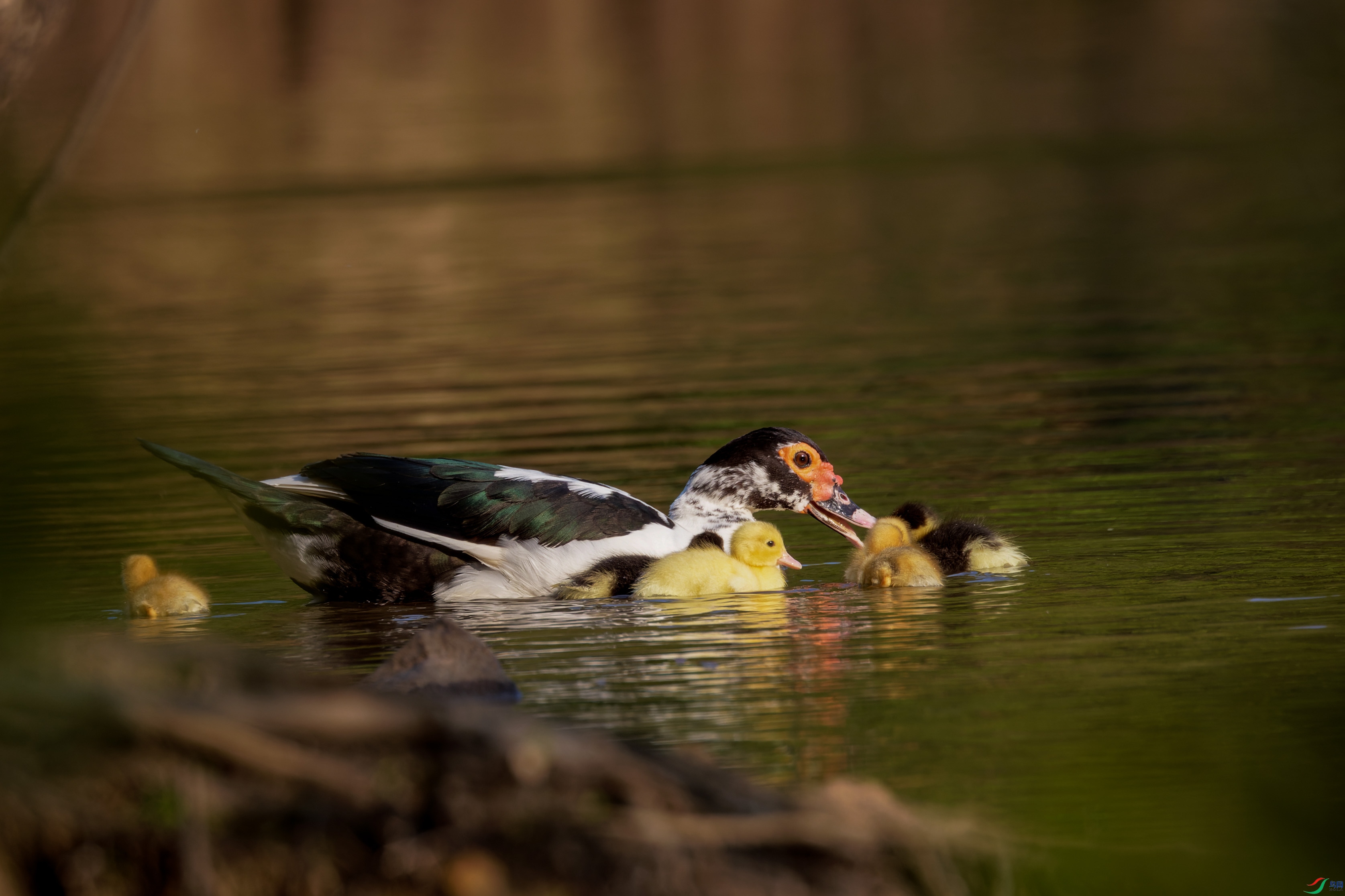 7D2_6014-CR2_DxO_DeepPRIME-1.jpg