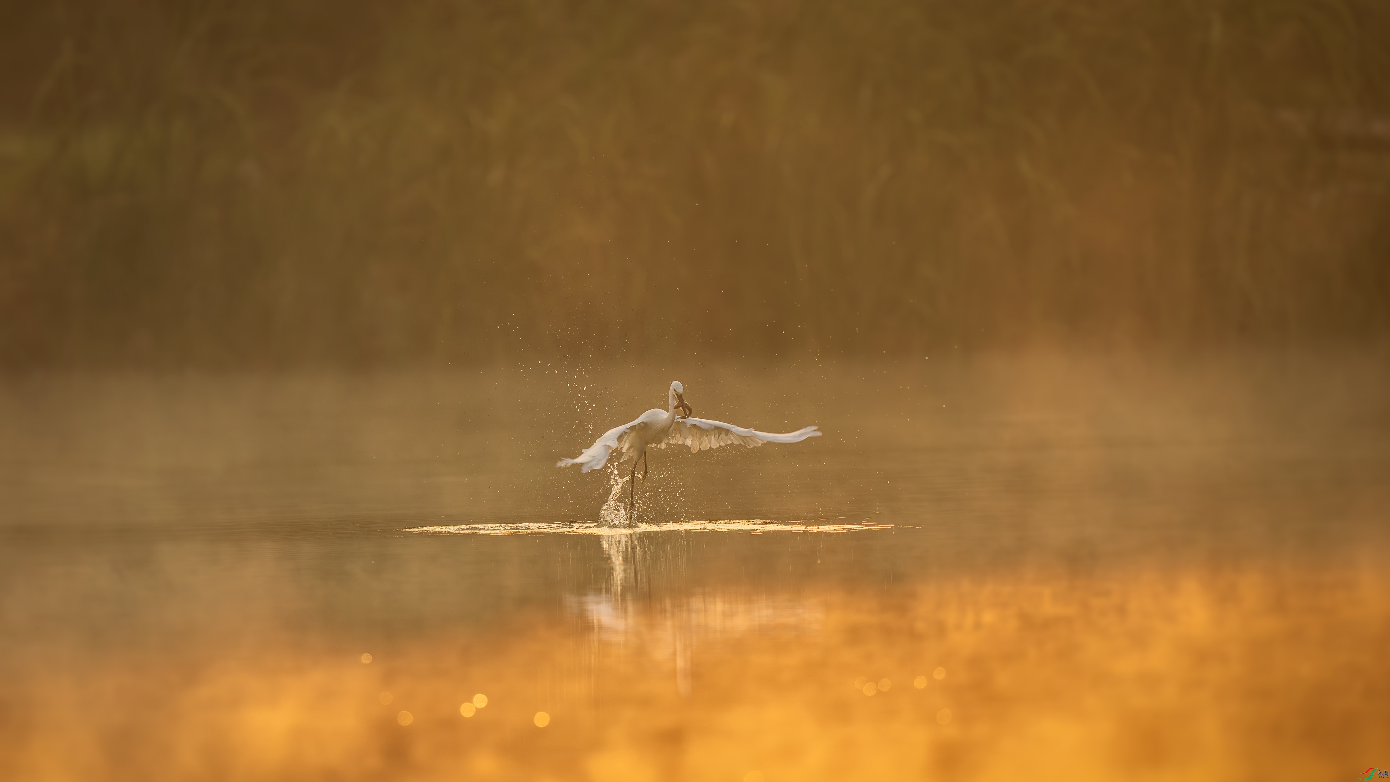 ��_DSC4342_����.jpg