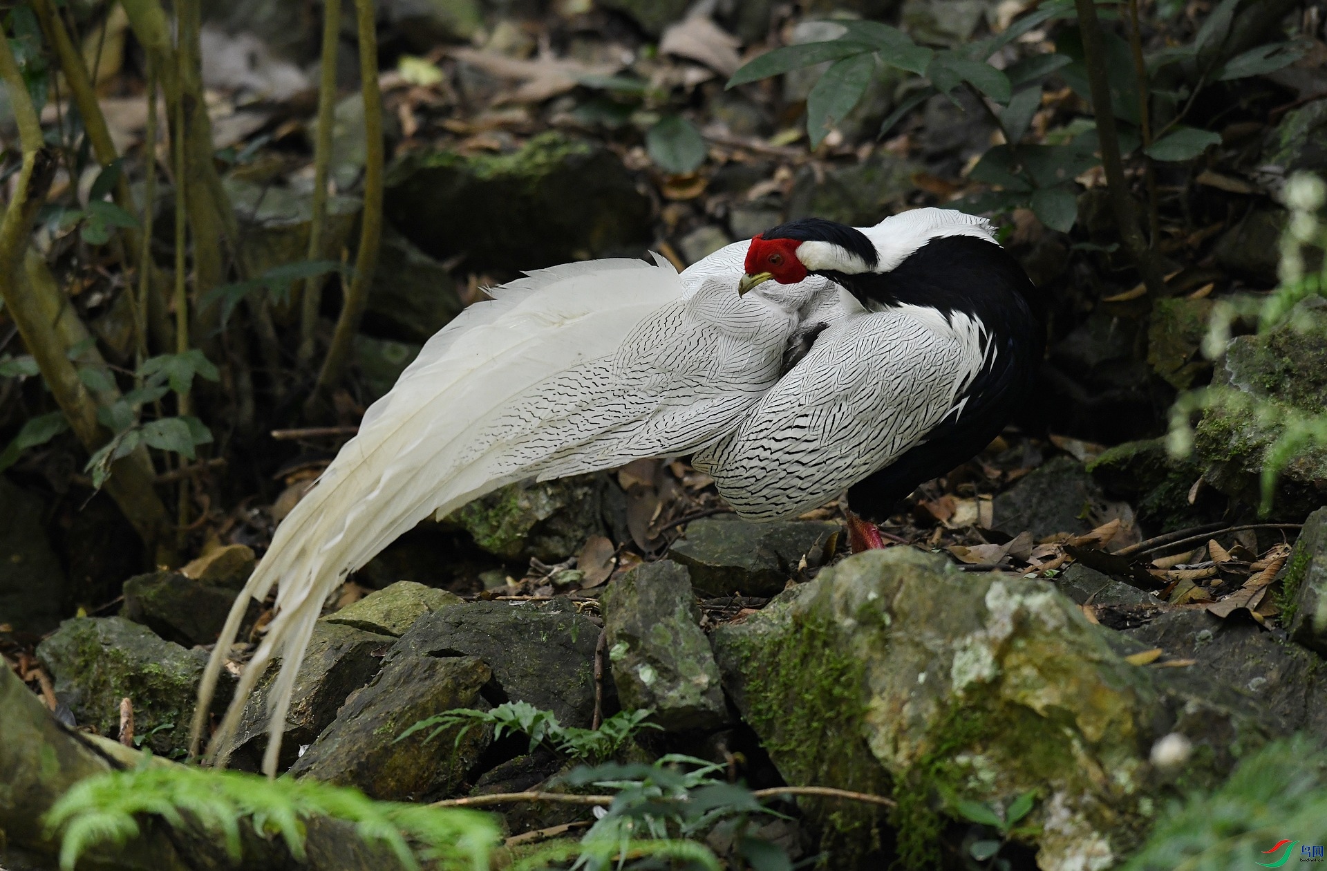 DSC_5256.jpg