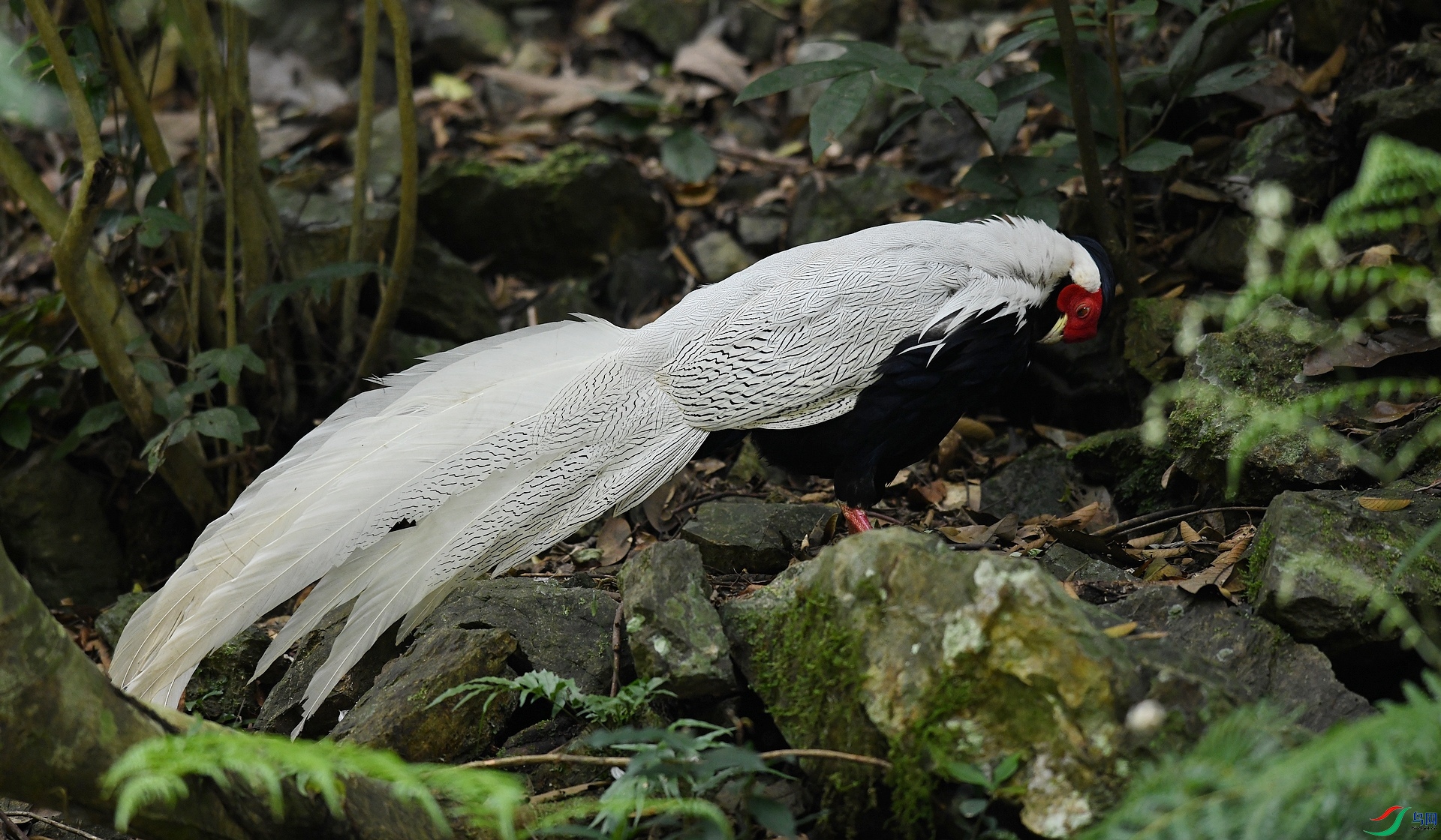DSC_5254.jpg