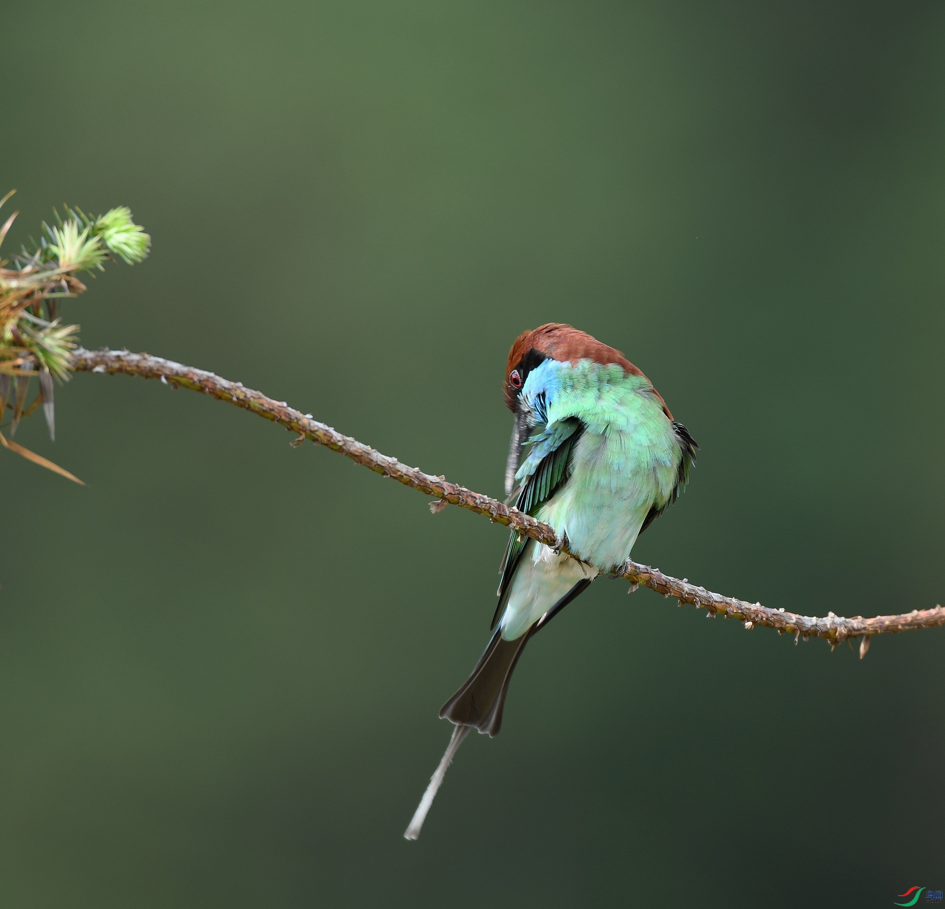 DSC_0107.jpg
