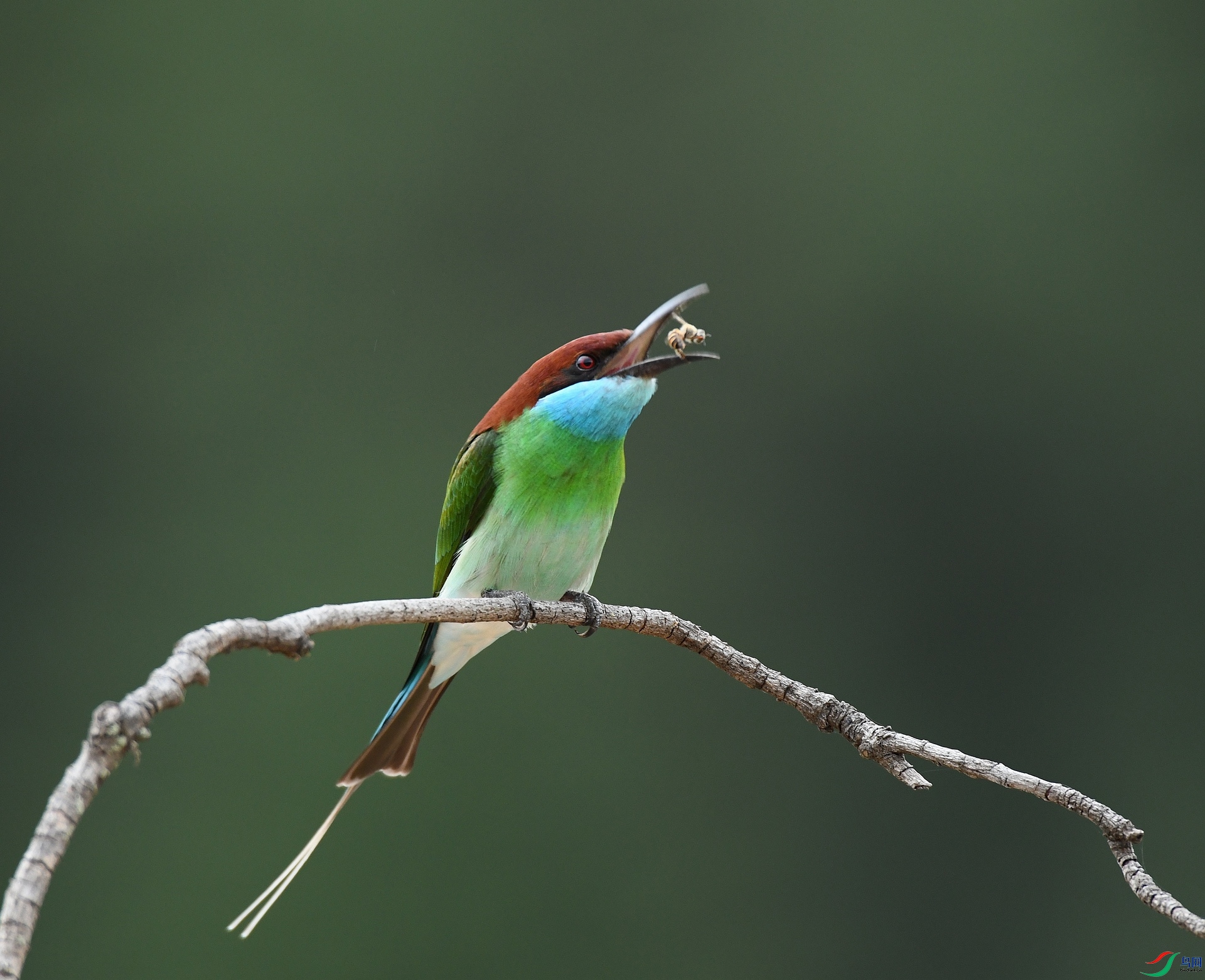 DSC_6382.jpg