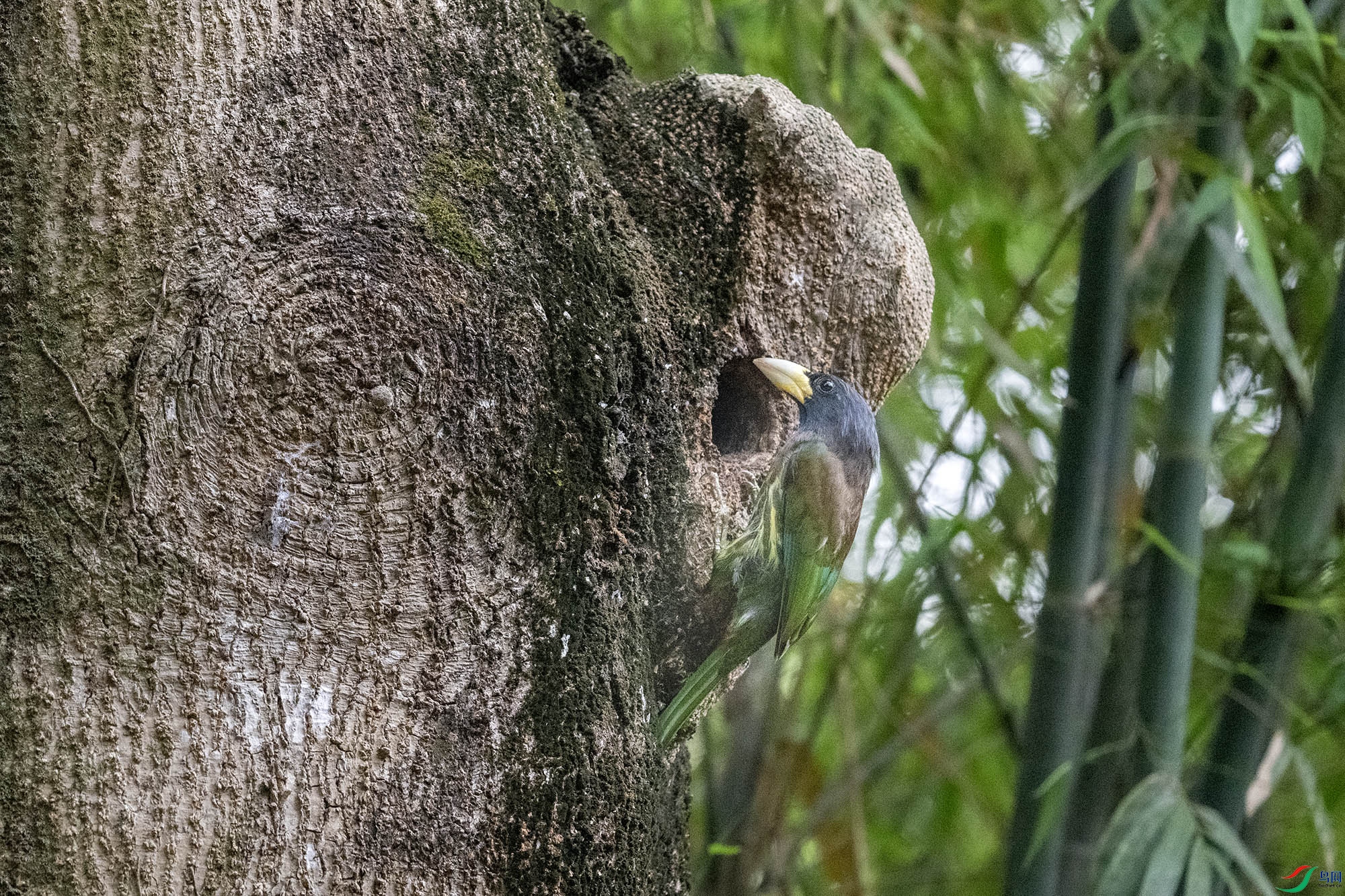 DSC_9834.jpg