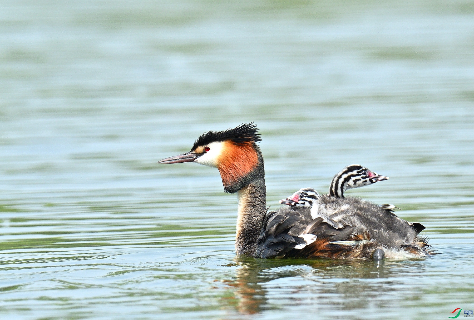 DSC_6264.JPG