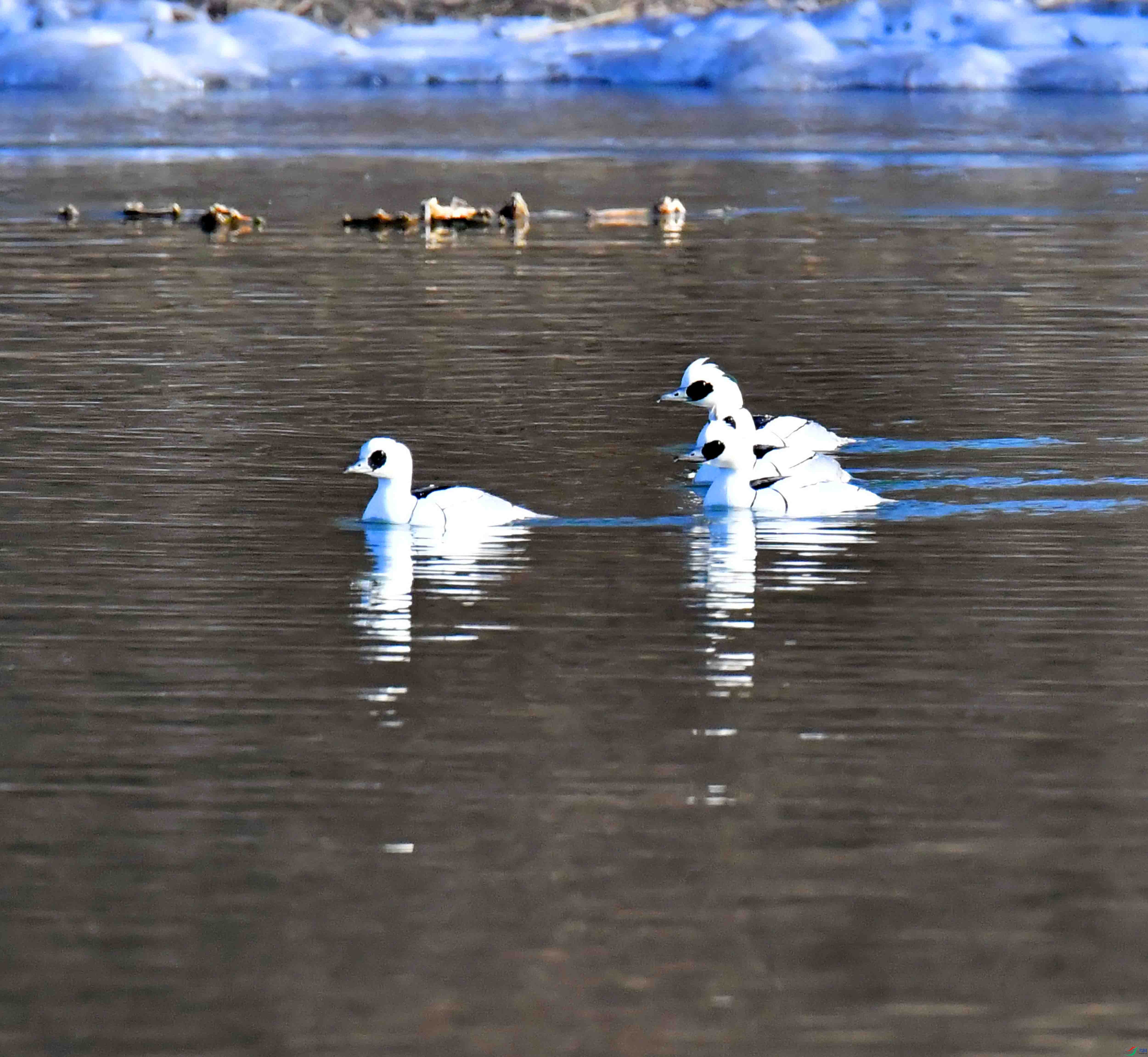 DSC_2814.JPG
