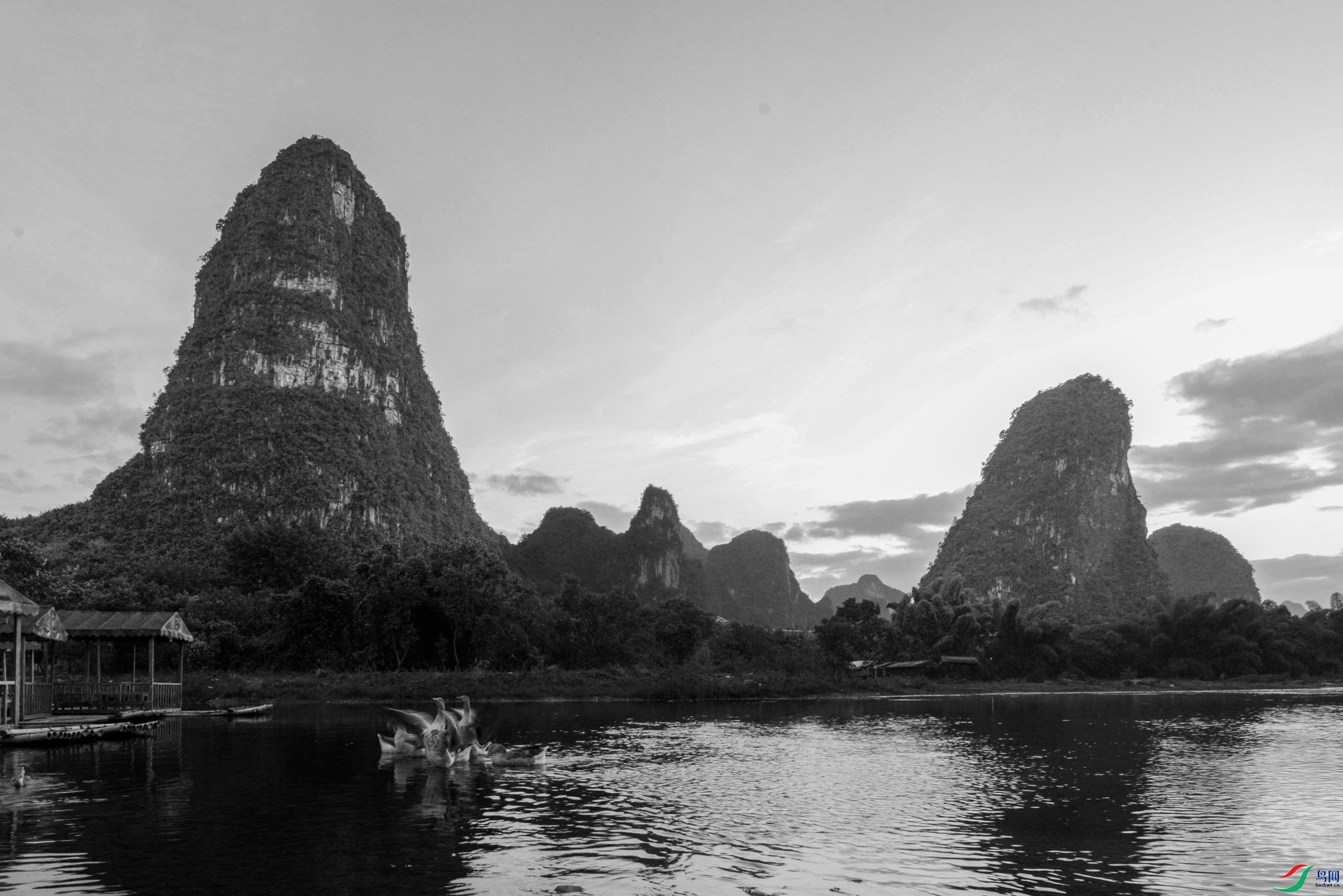 DSC_1955.jpg