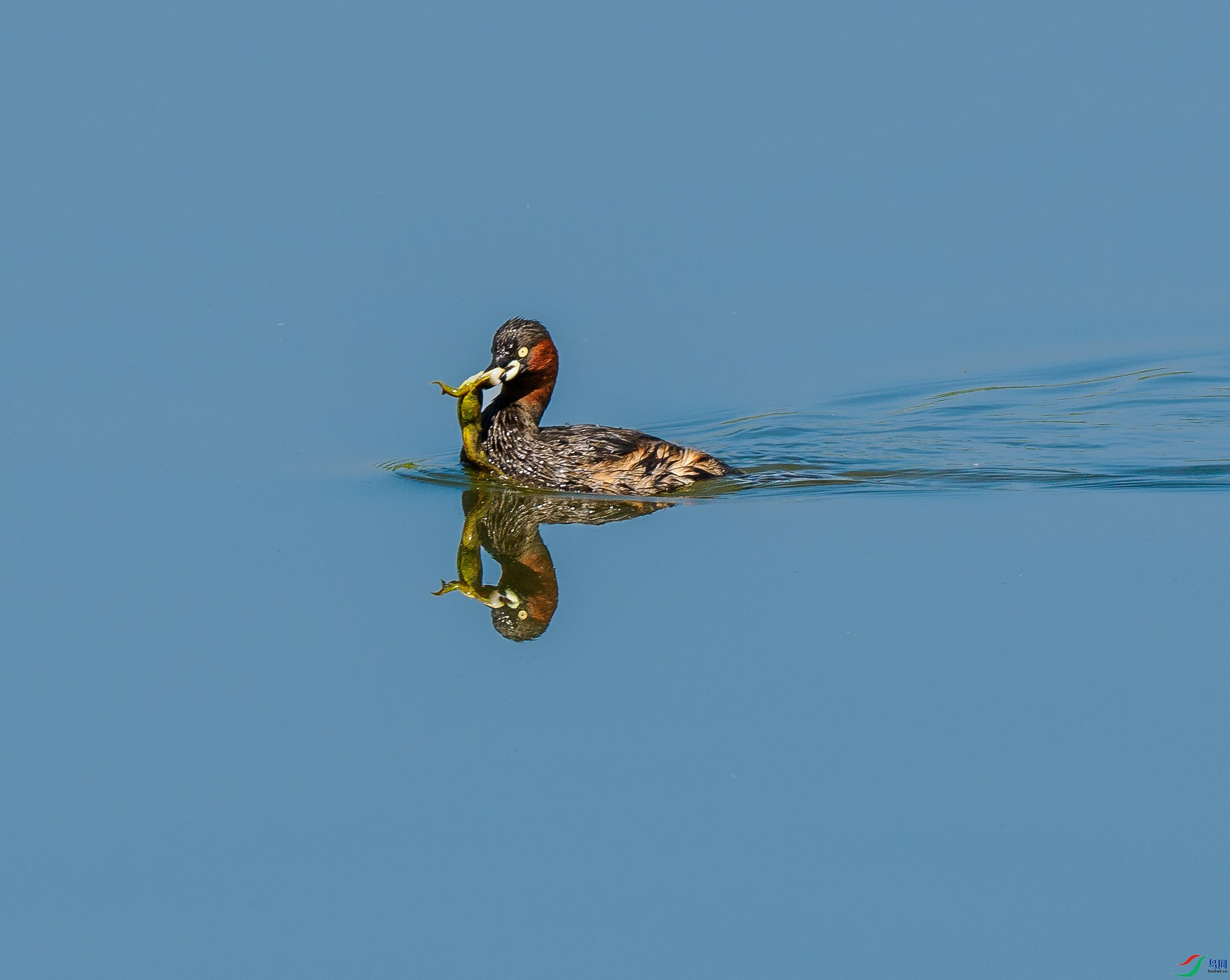 P5061057 - ���� ����.jpg