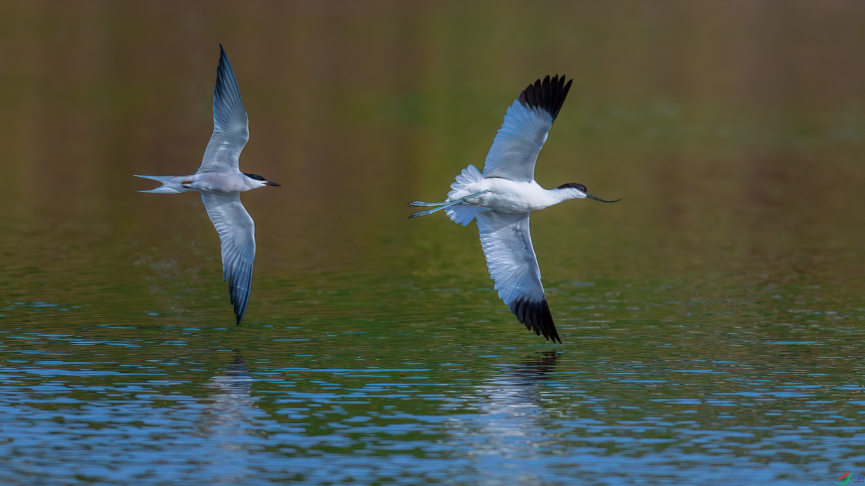 ÿ�ռ���  ��Ÿ׷������  ���� ��ѧ�� ����.jpg