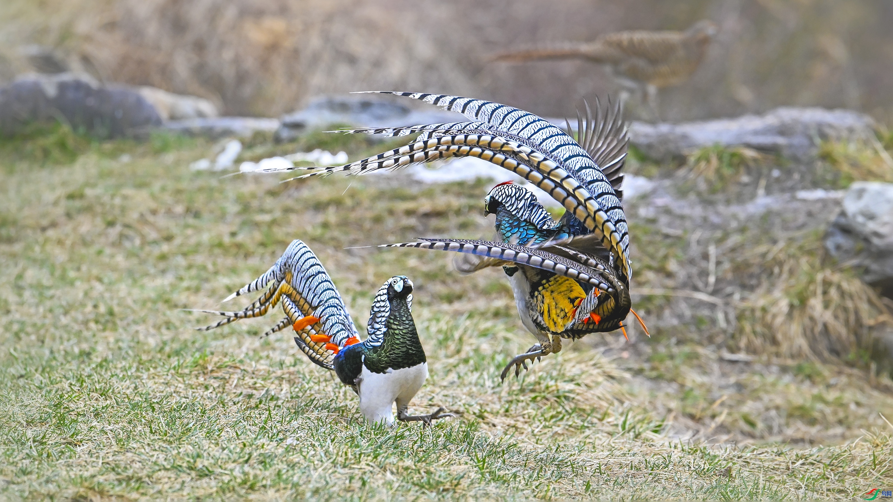 ���  ���� wh�ϳ� ����.jpg