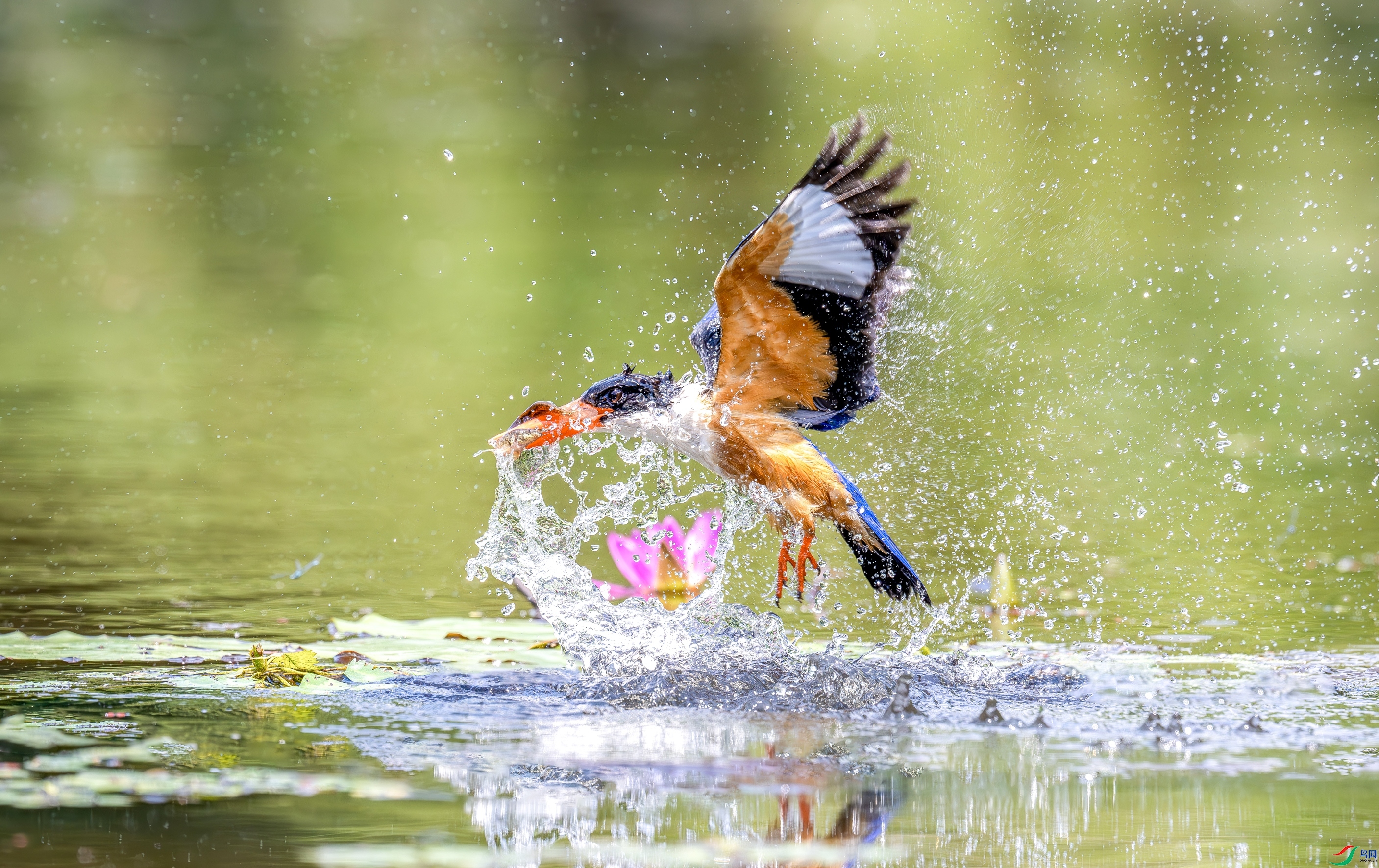 ����  ���� ������ ����.jpg