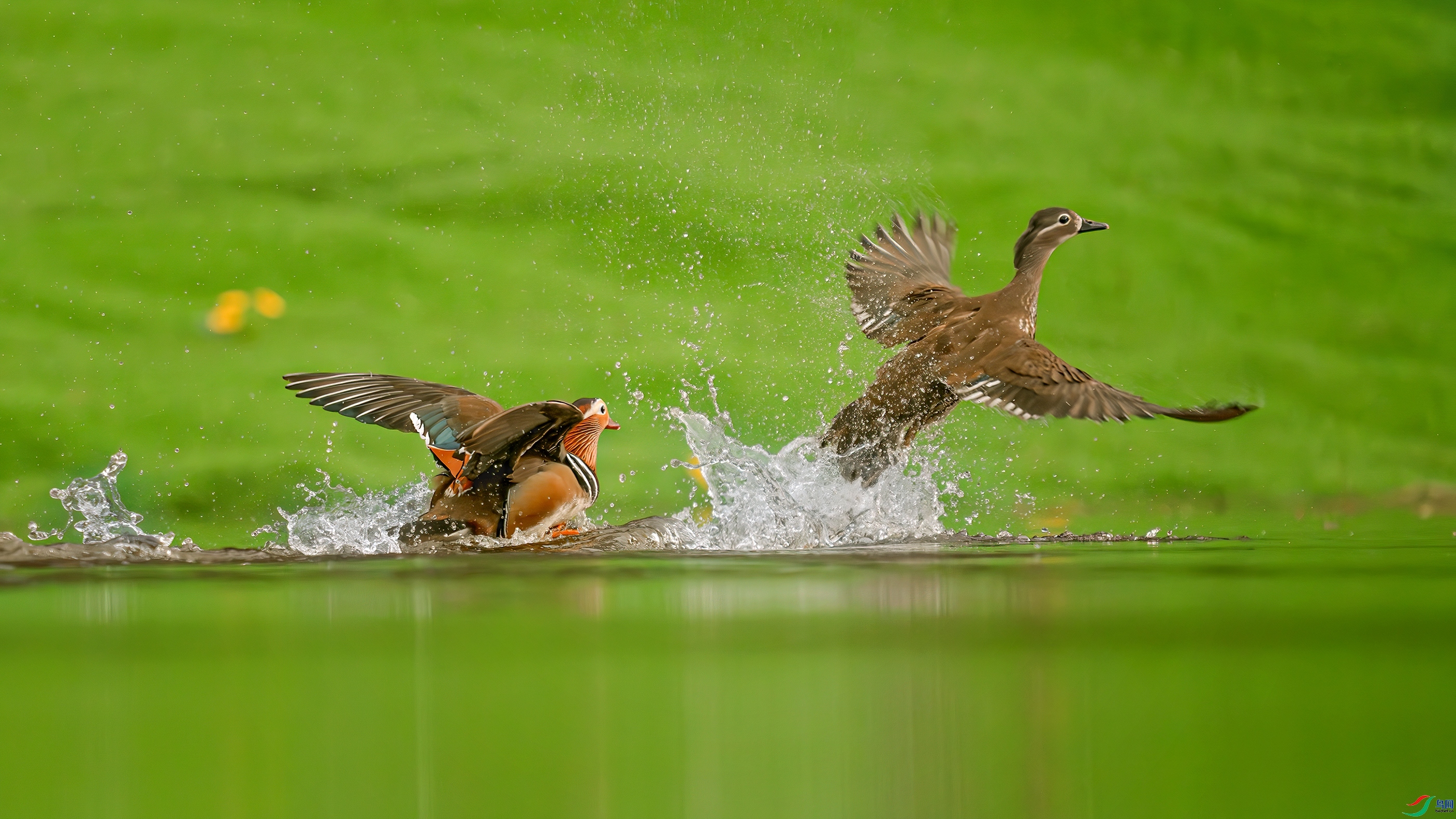 ϱ�����ˣ��Ͻ�׷ѽ��  ���� С�׺� ����.jpg