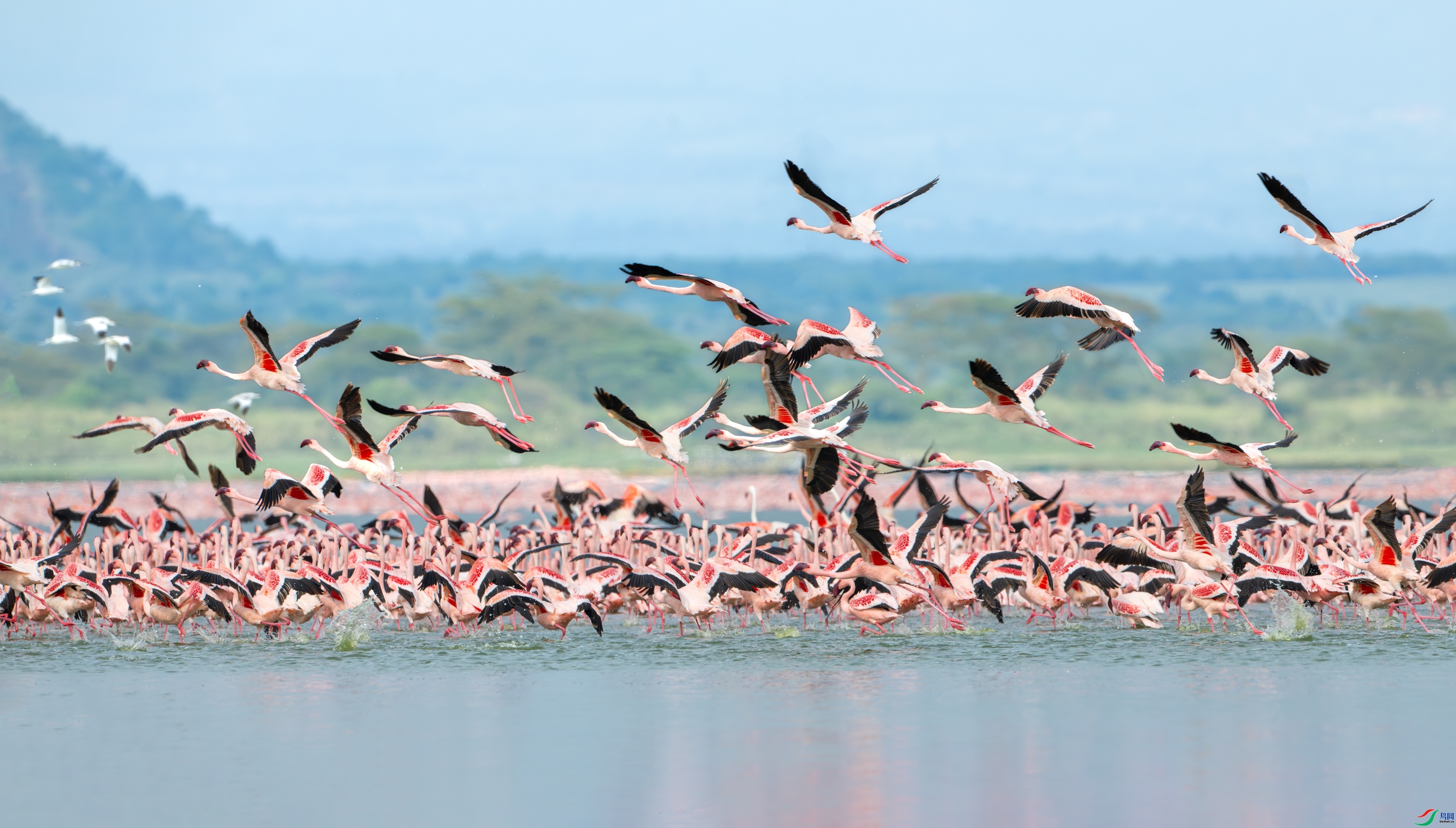 ������ ���� ��Ͽ֮�� ����.jpg