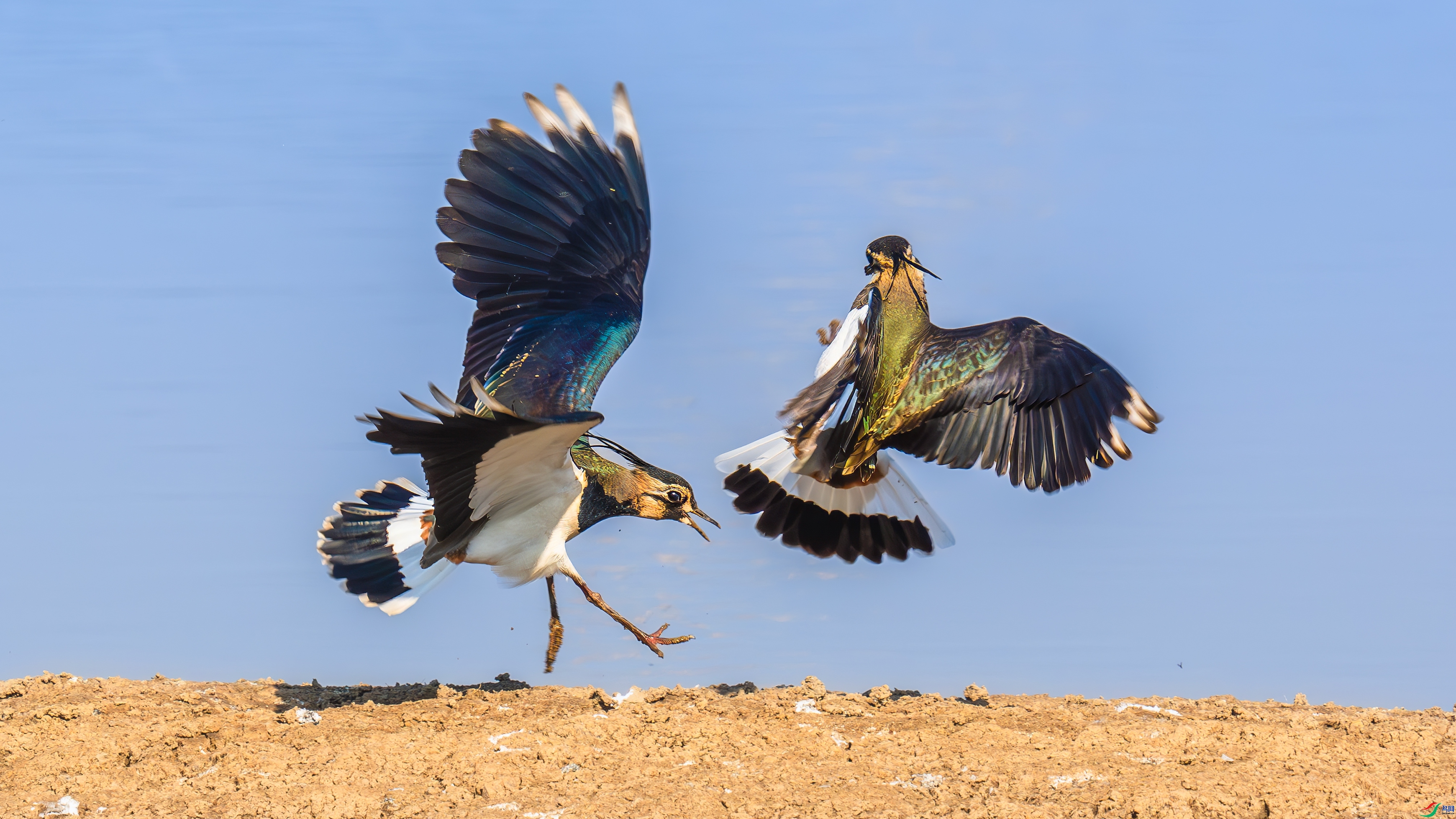 ���䲻�� ���� С���� ����.jpg