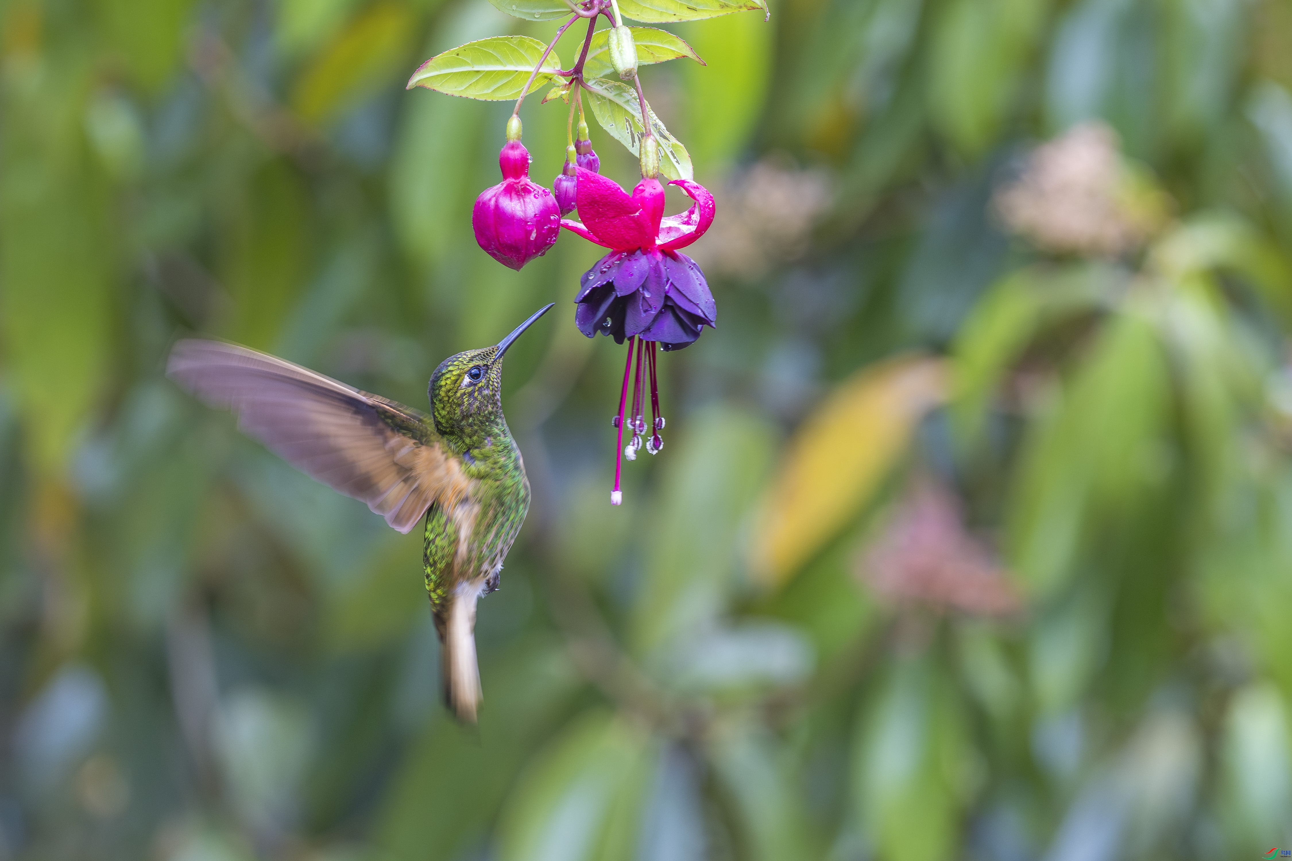 ��β����񣨸��ױ��ǣ�  ���� ������ ����.jpg