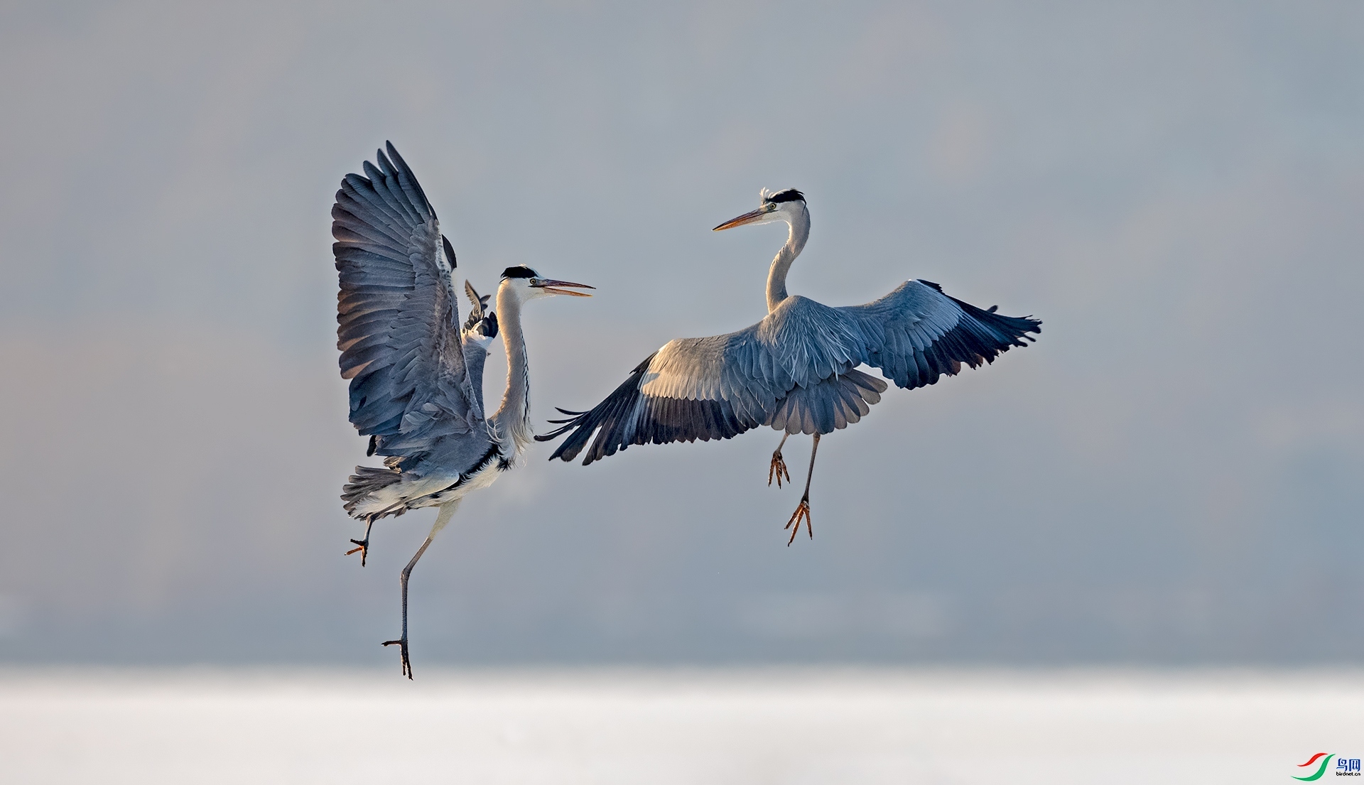 ���  ���� ������� ����.jpg