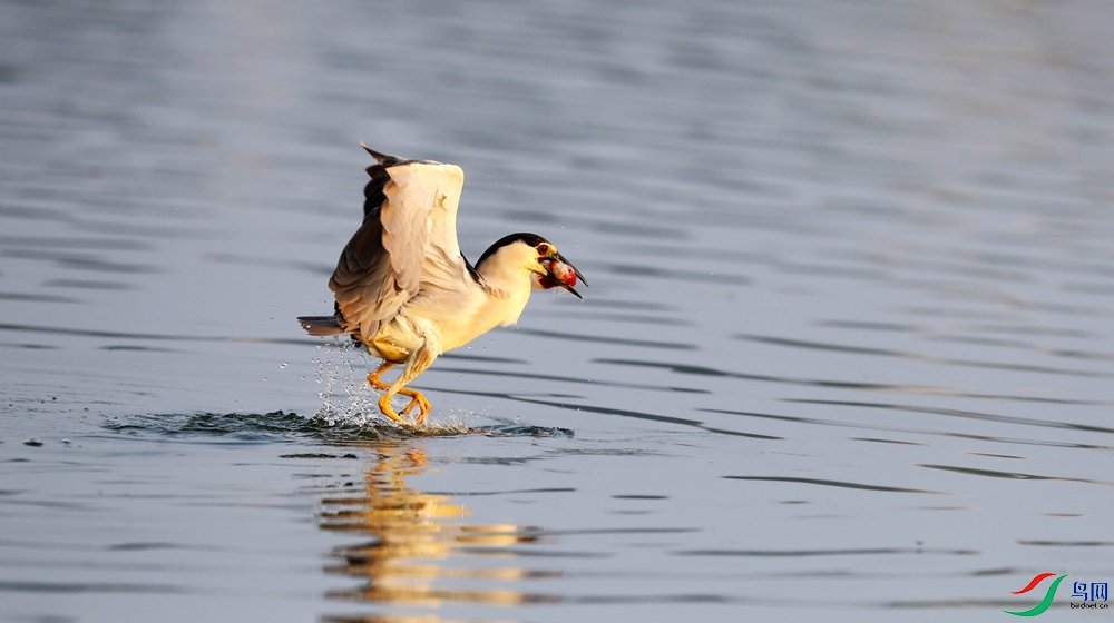 ����3.jpg