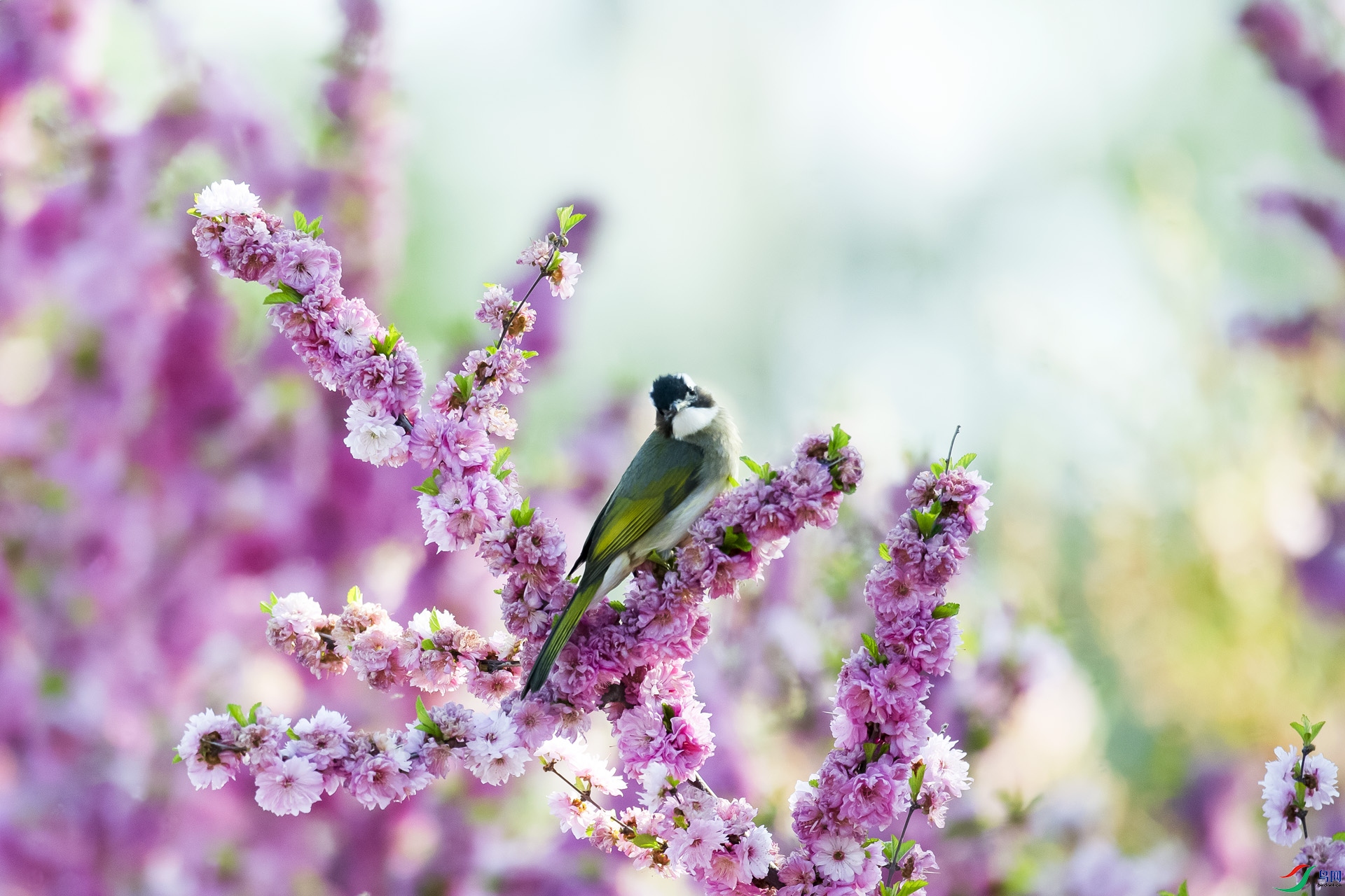 File0000028.jpg