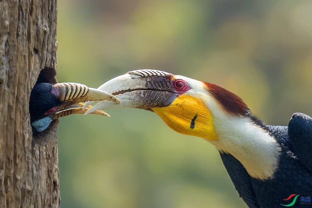 0F7A0780 ����.jpg