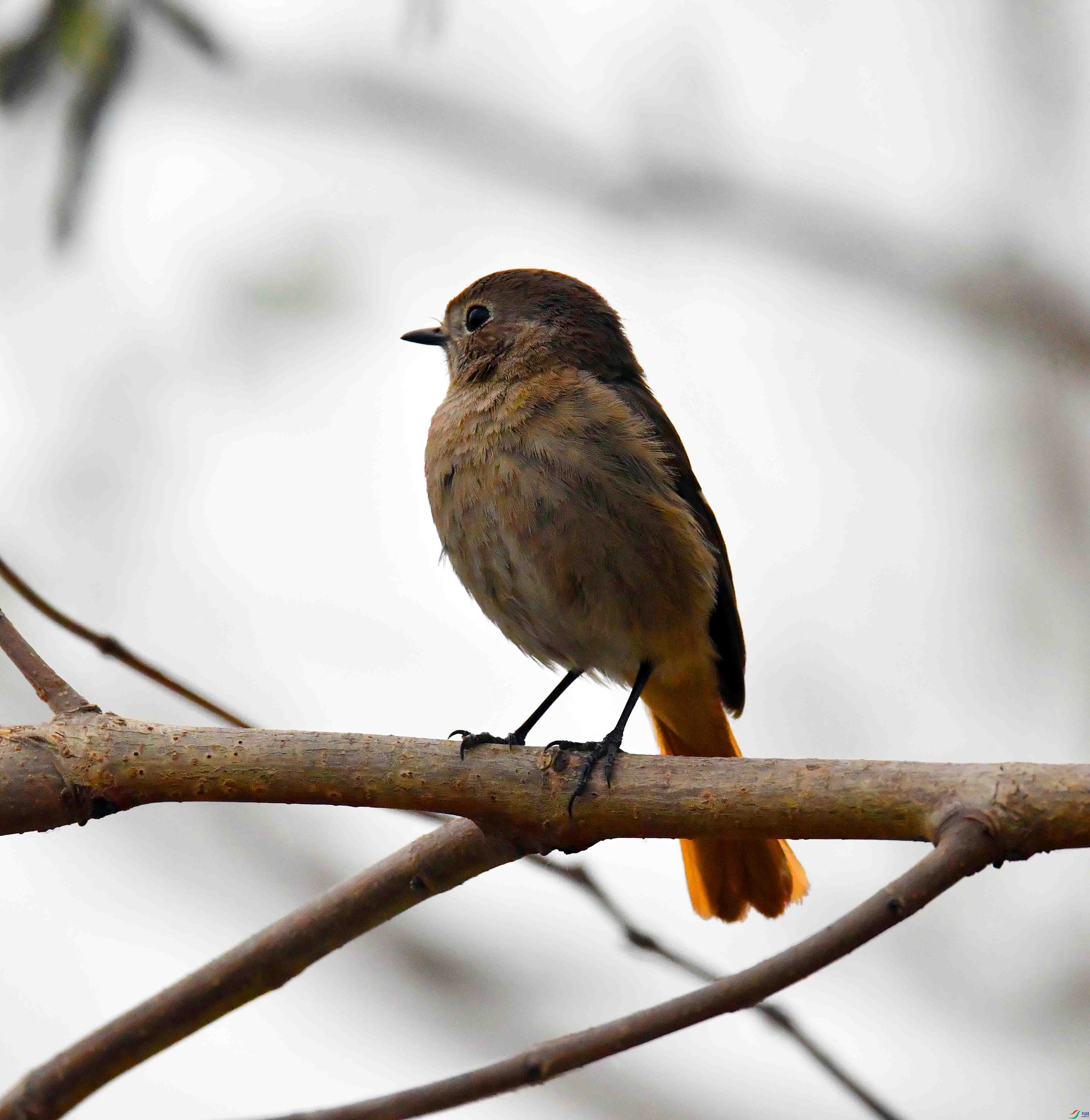 DSC_2886.JPG