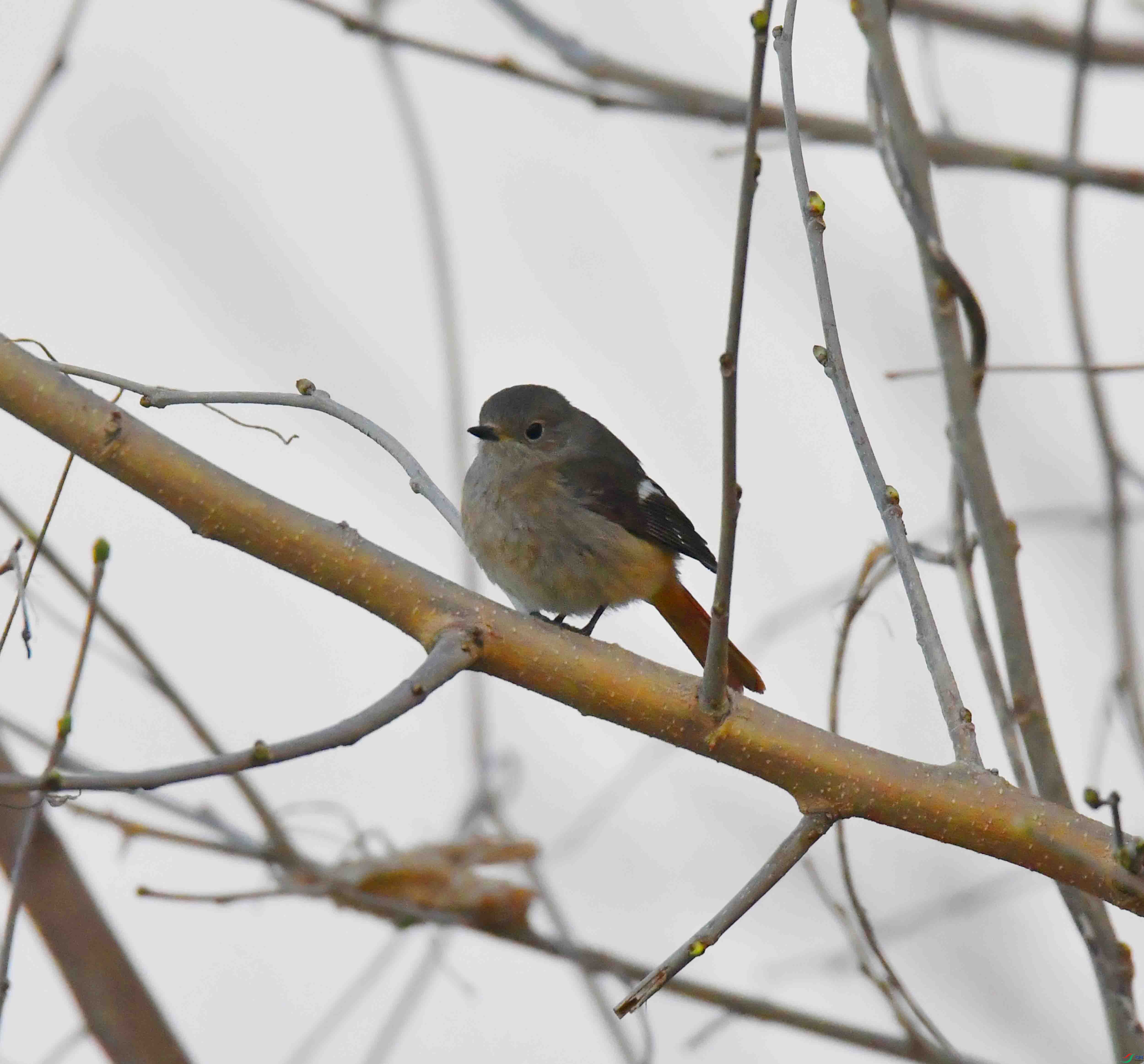 DSC_8780.JPG