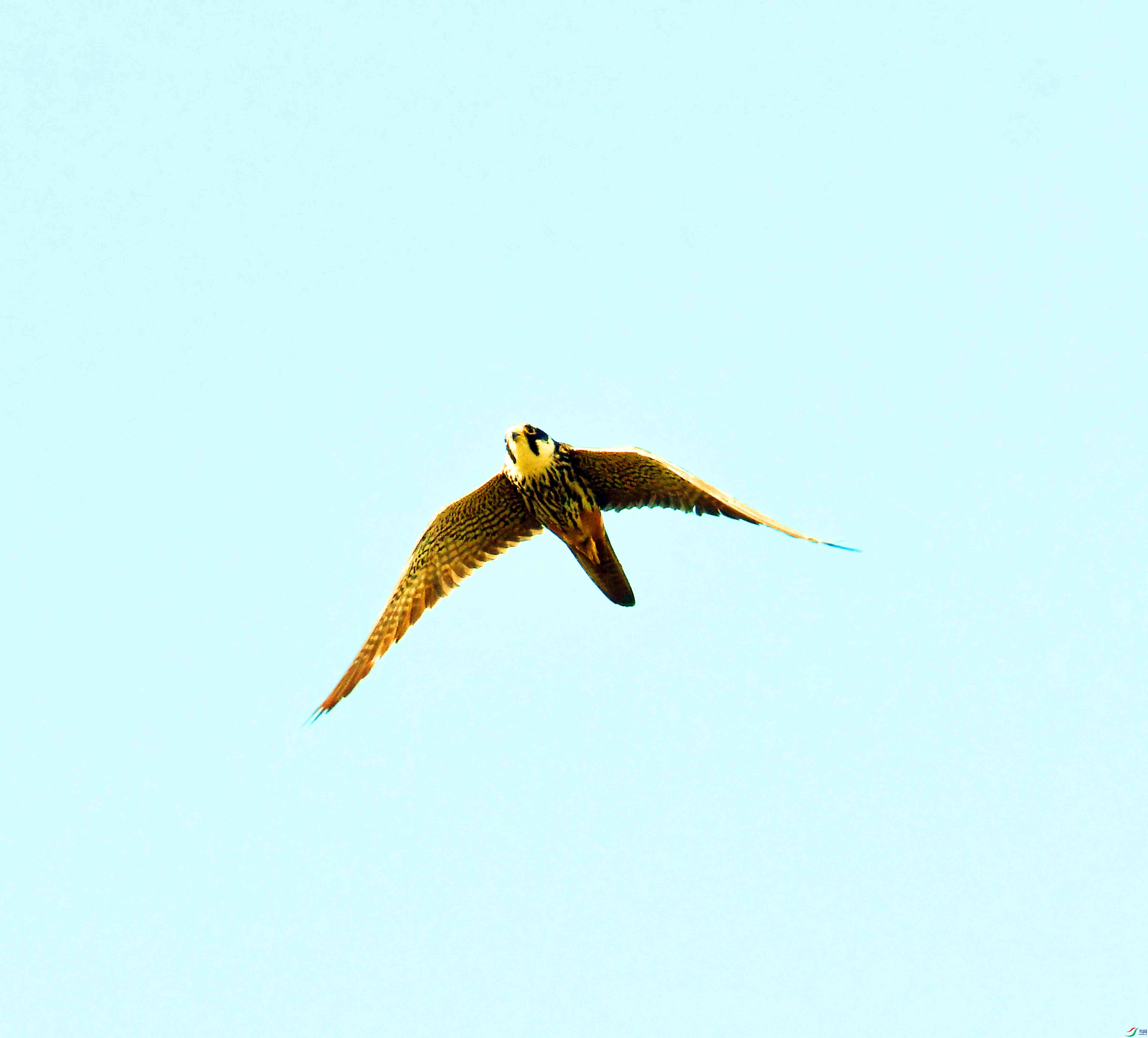 DSC_3911.JPG