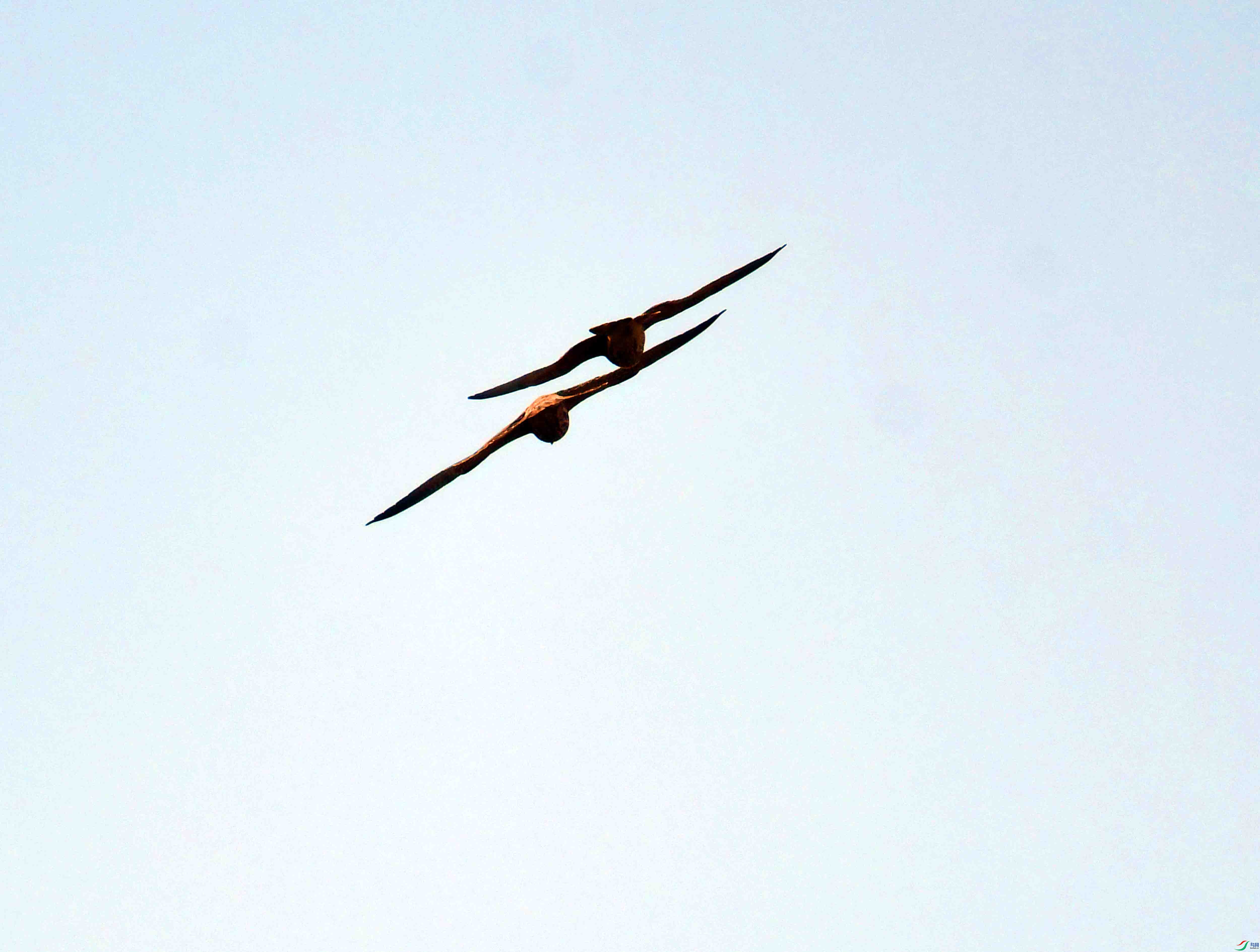 DSC_4144.JPG