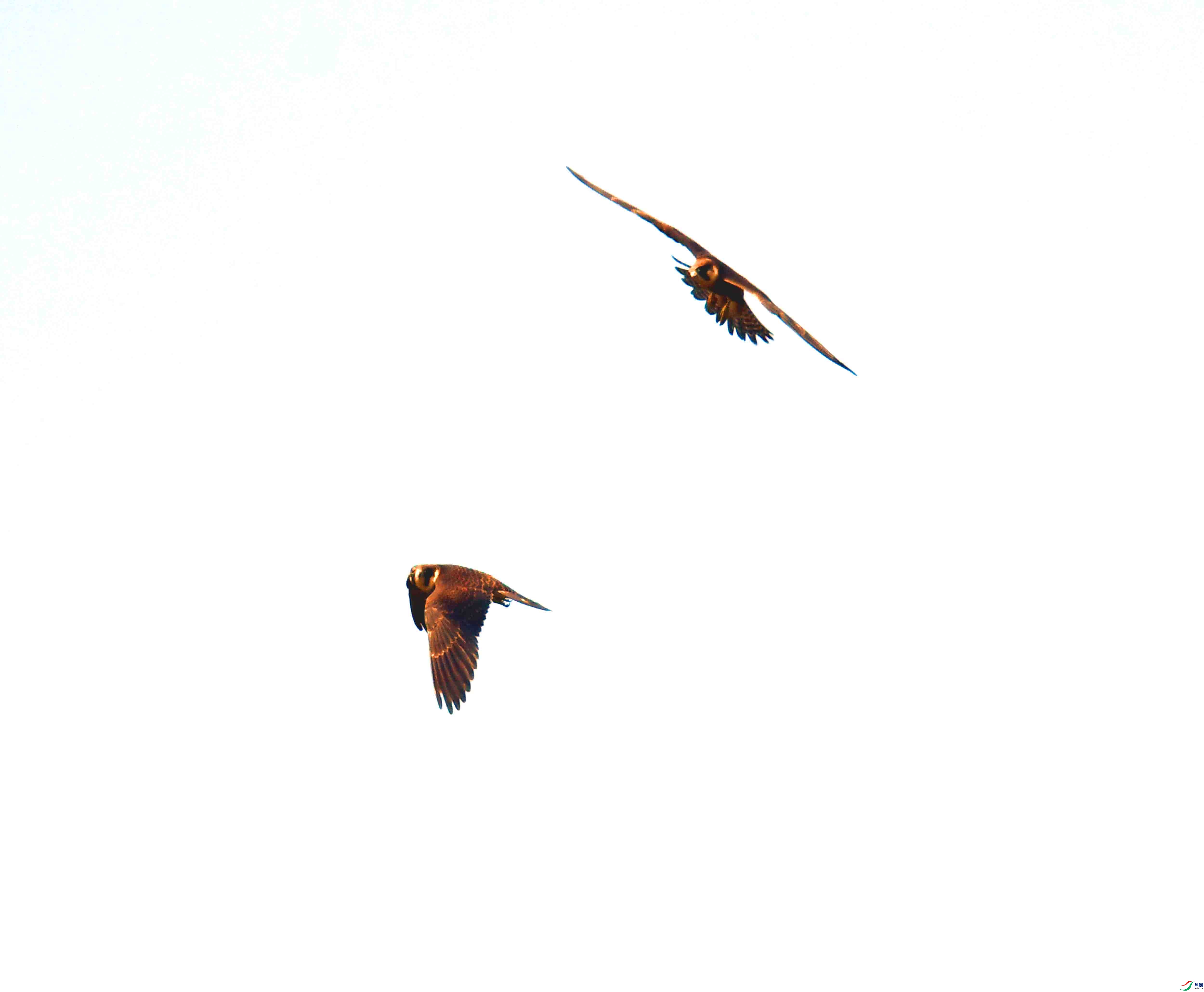 DSC_4154.JPG