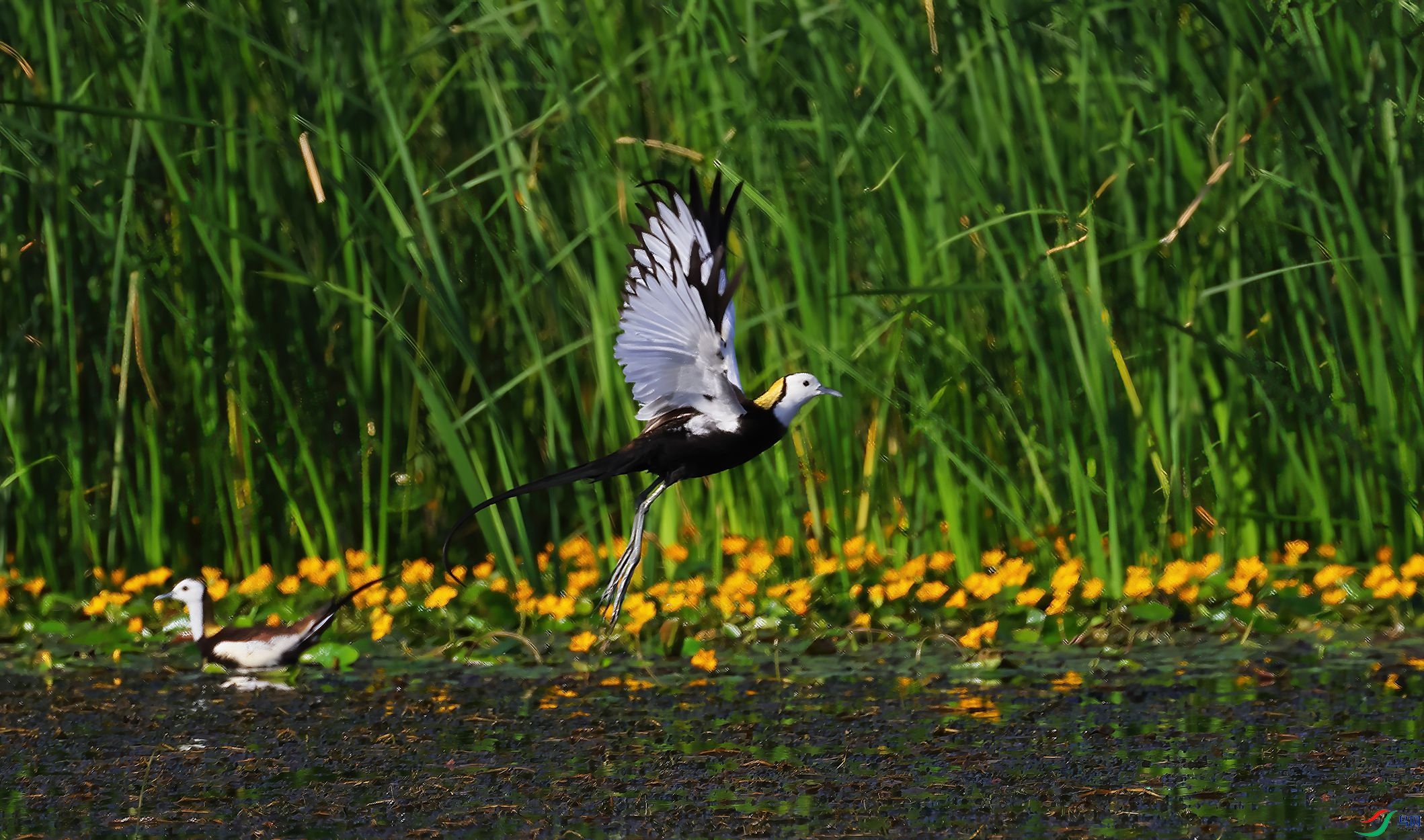 4R6A1195-SharpenAI-Motion.jpg