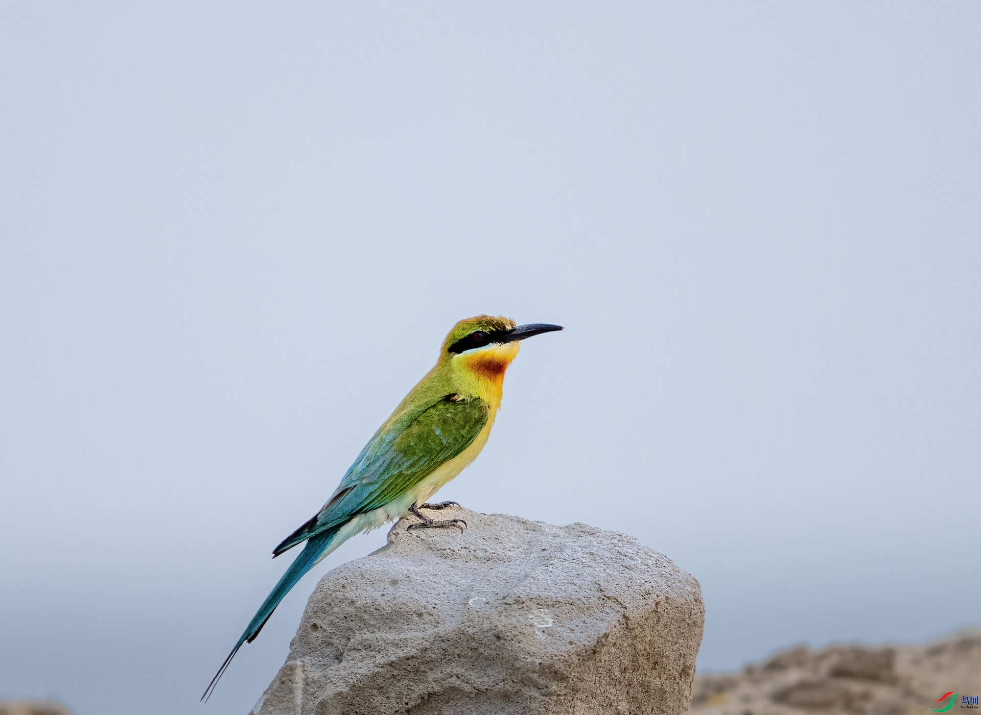 DSC_8538.jpg
