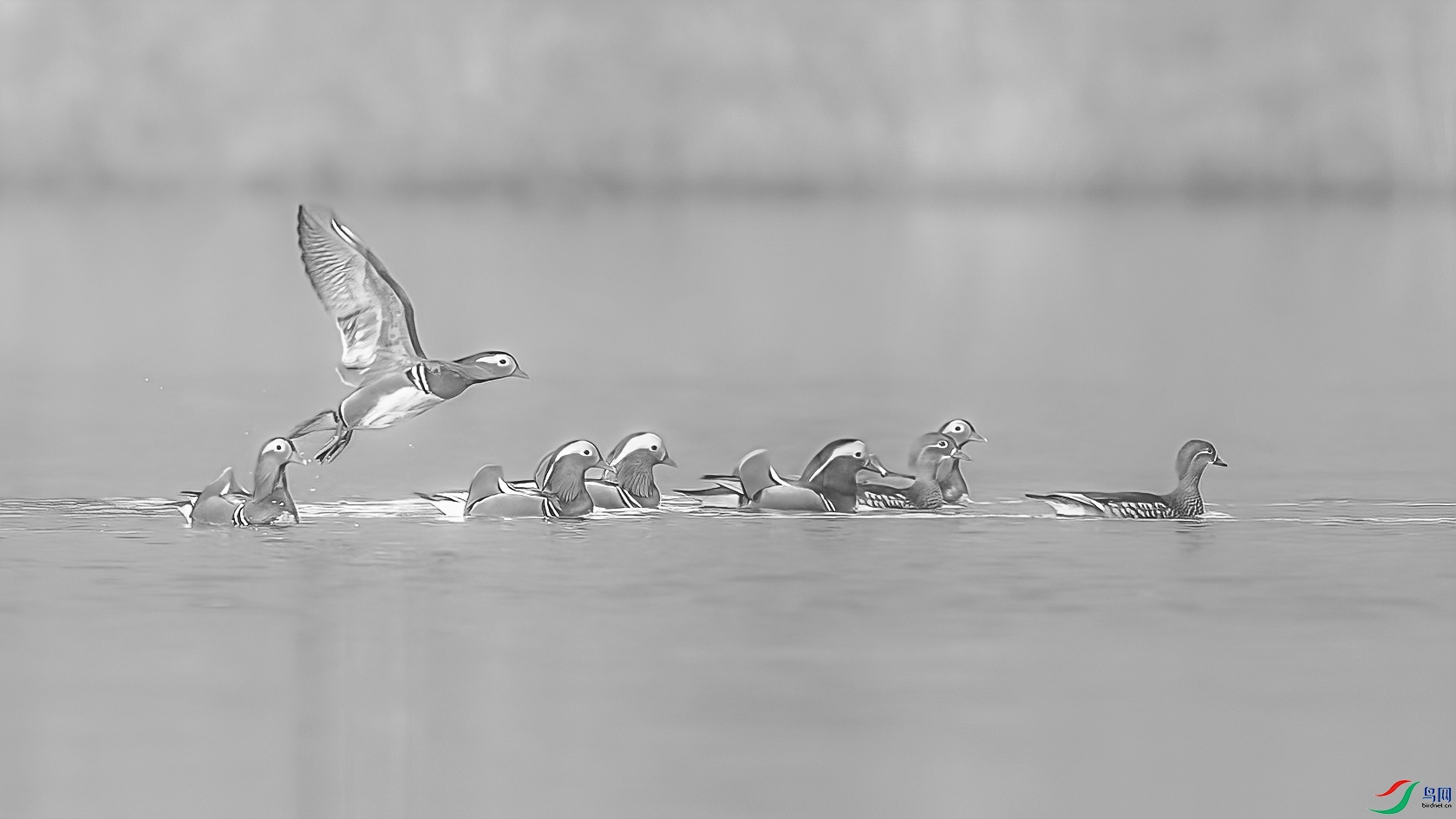 C09R8756 ���� 1.jpg