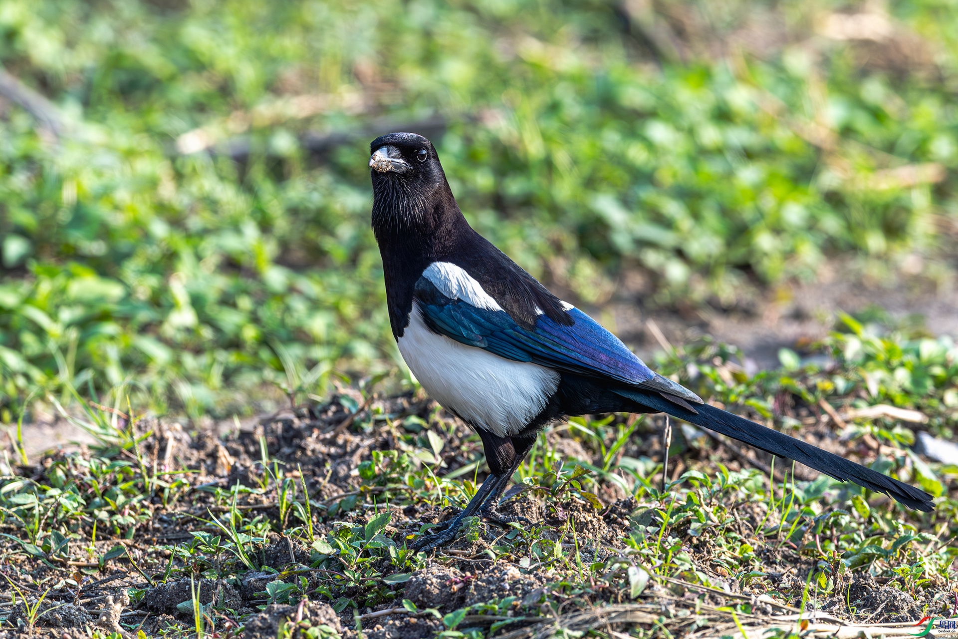 20250513ϲȵ ����.jpg