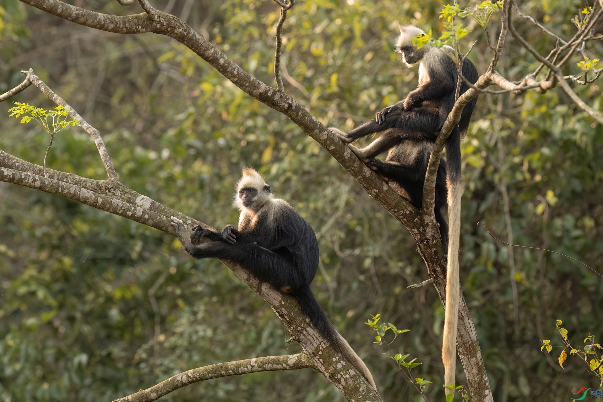 B86I9275 _����.jpg