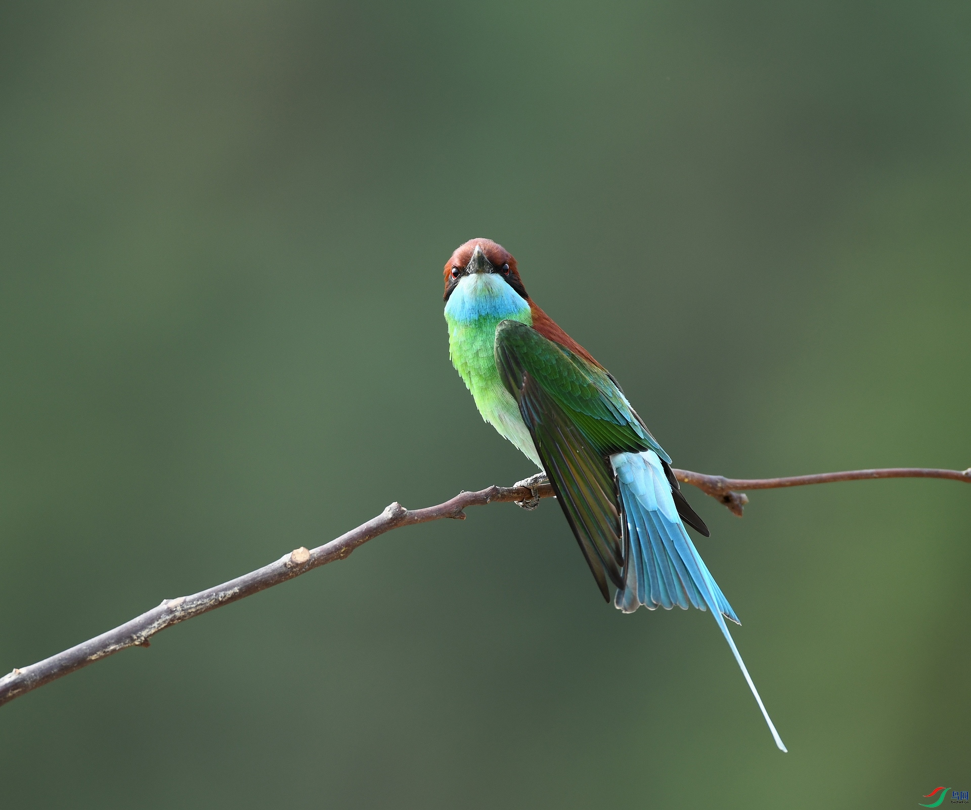 DSC_0397.jpg