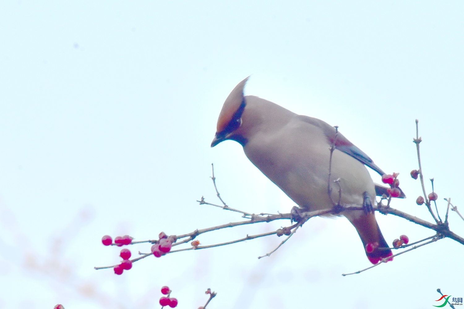 DSC_5854.JPG