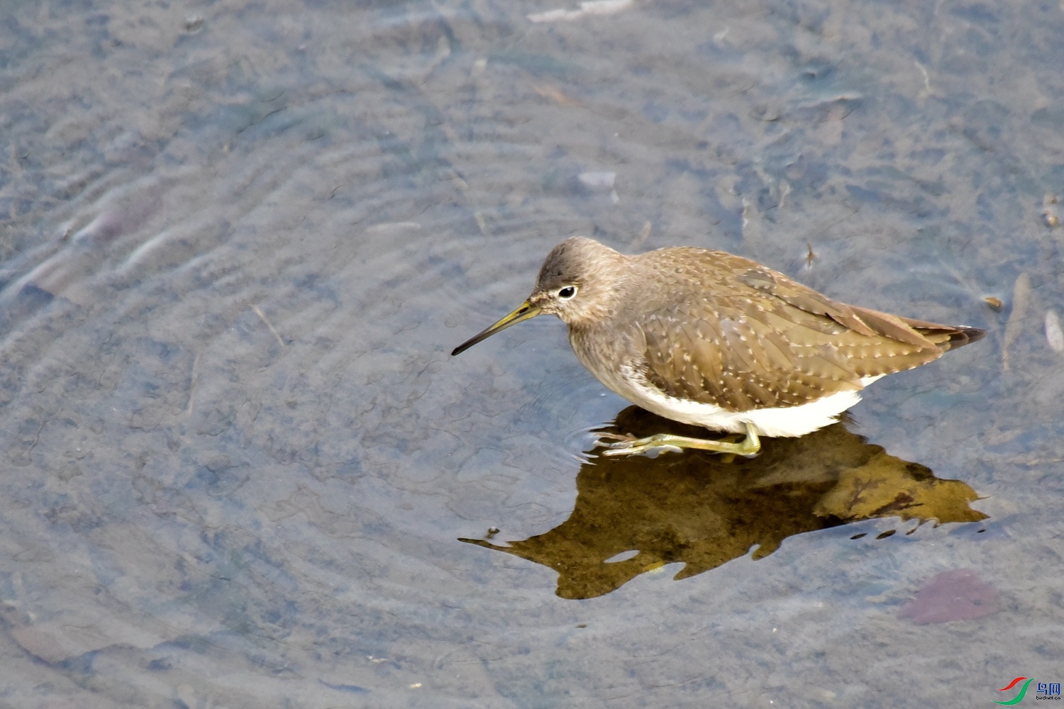 DSC_4335.JPG