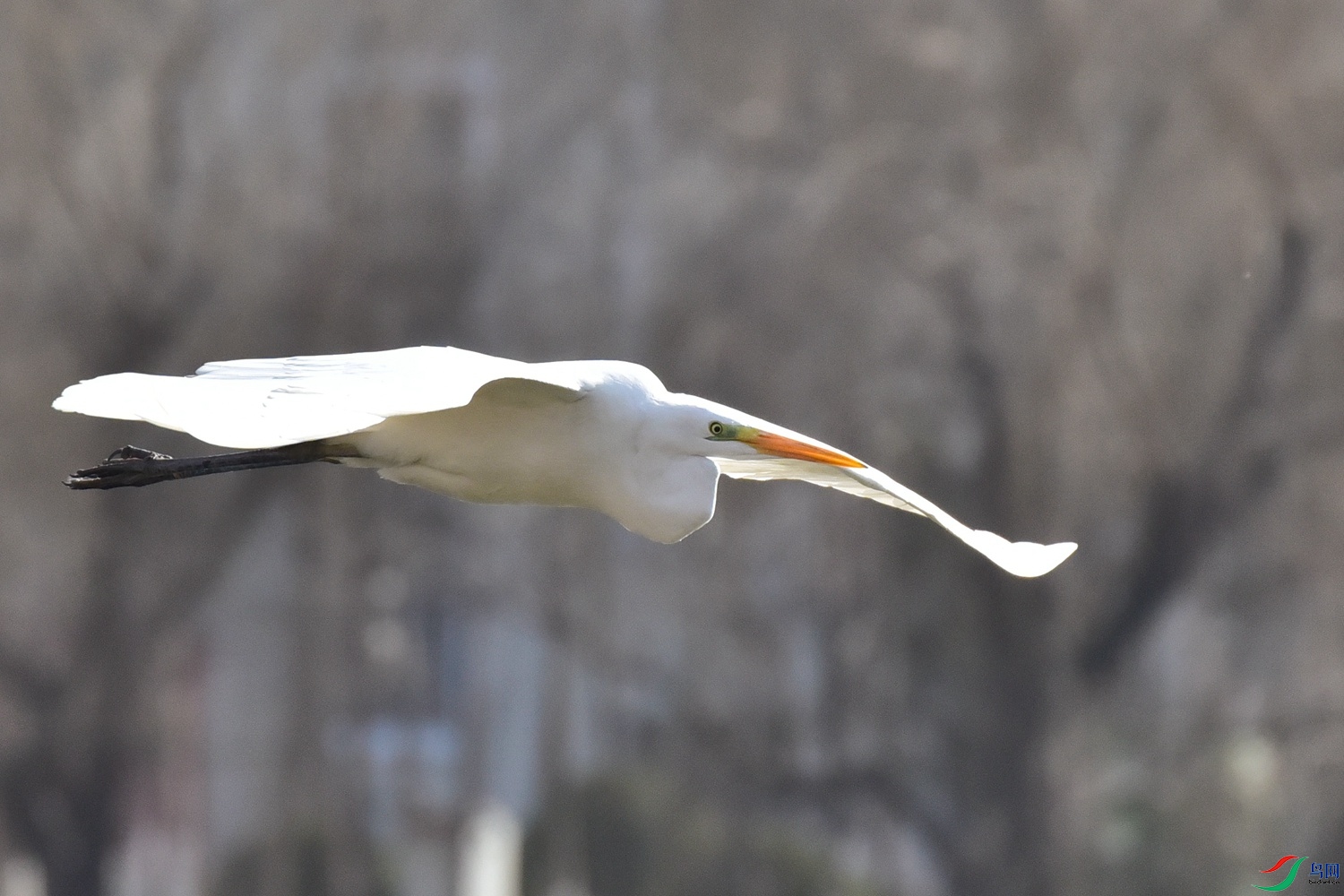 DSC_6098.JPG