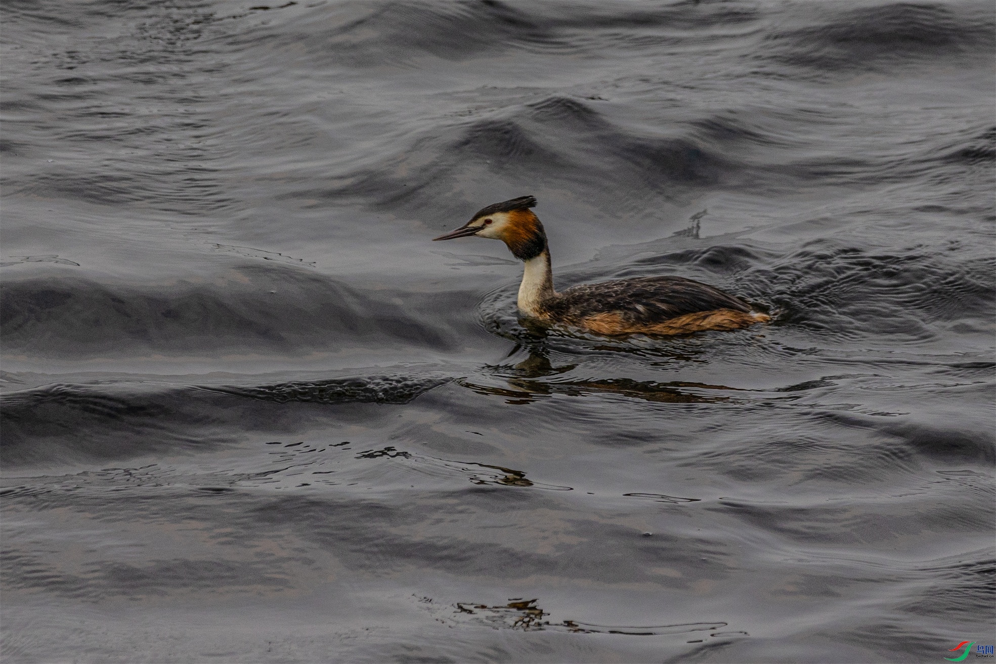 1K3A2538 ����1.jpg