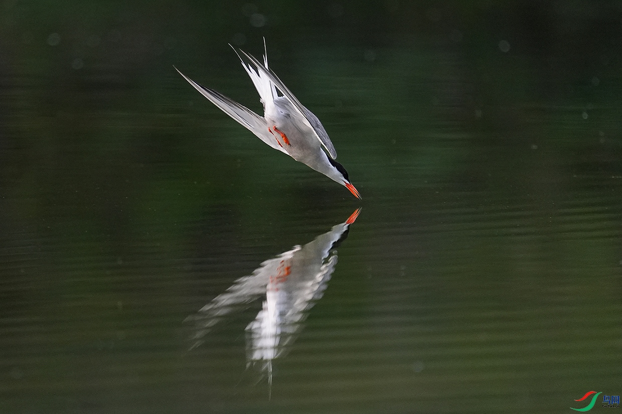 DSC09362 ����.jpg