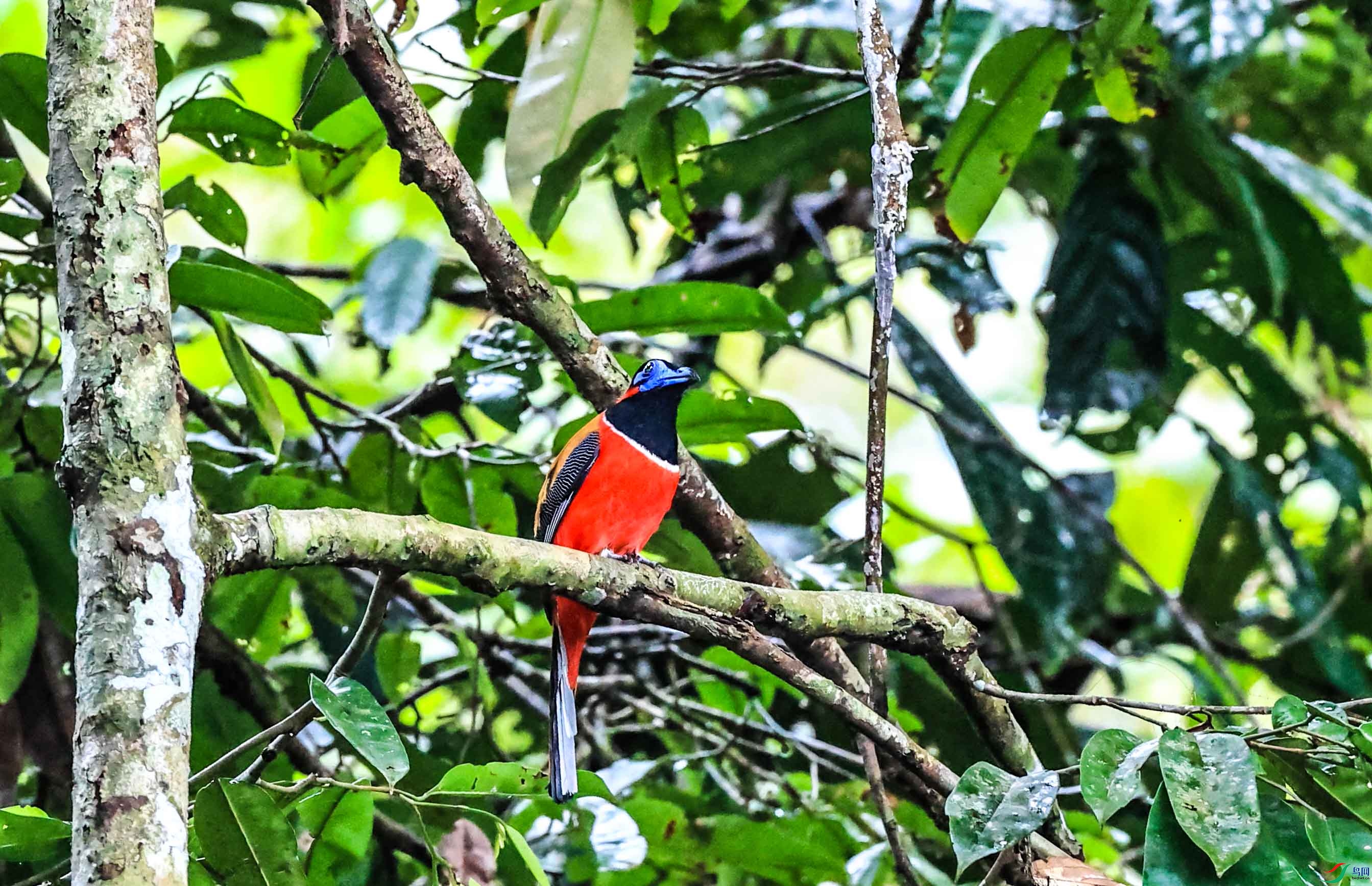 ����ҧ�� ����.jpg