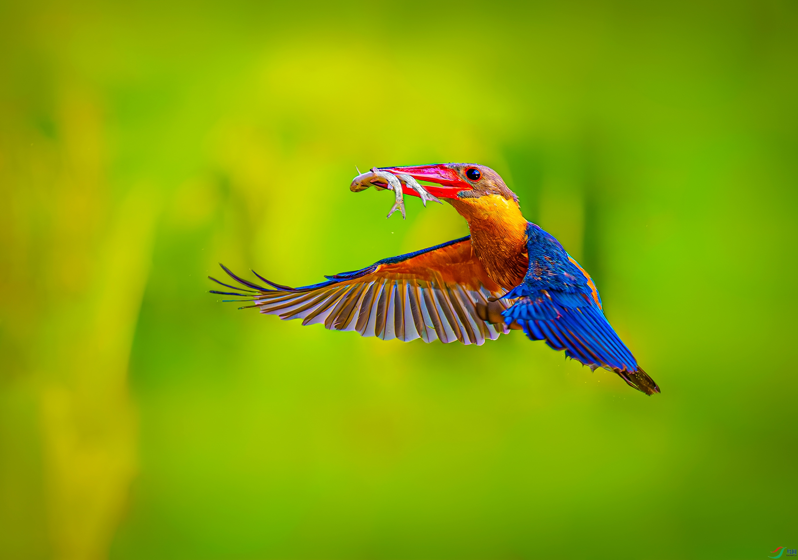 _V0A0287-����ǿ-NR-11 (2).jpg