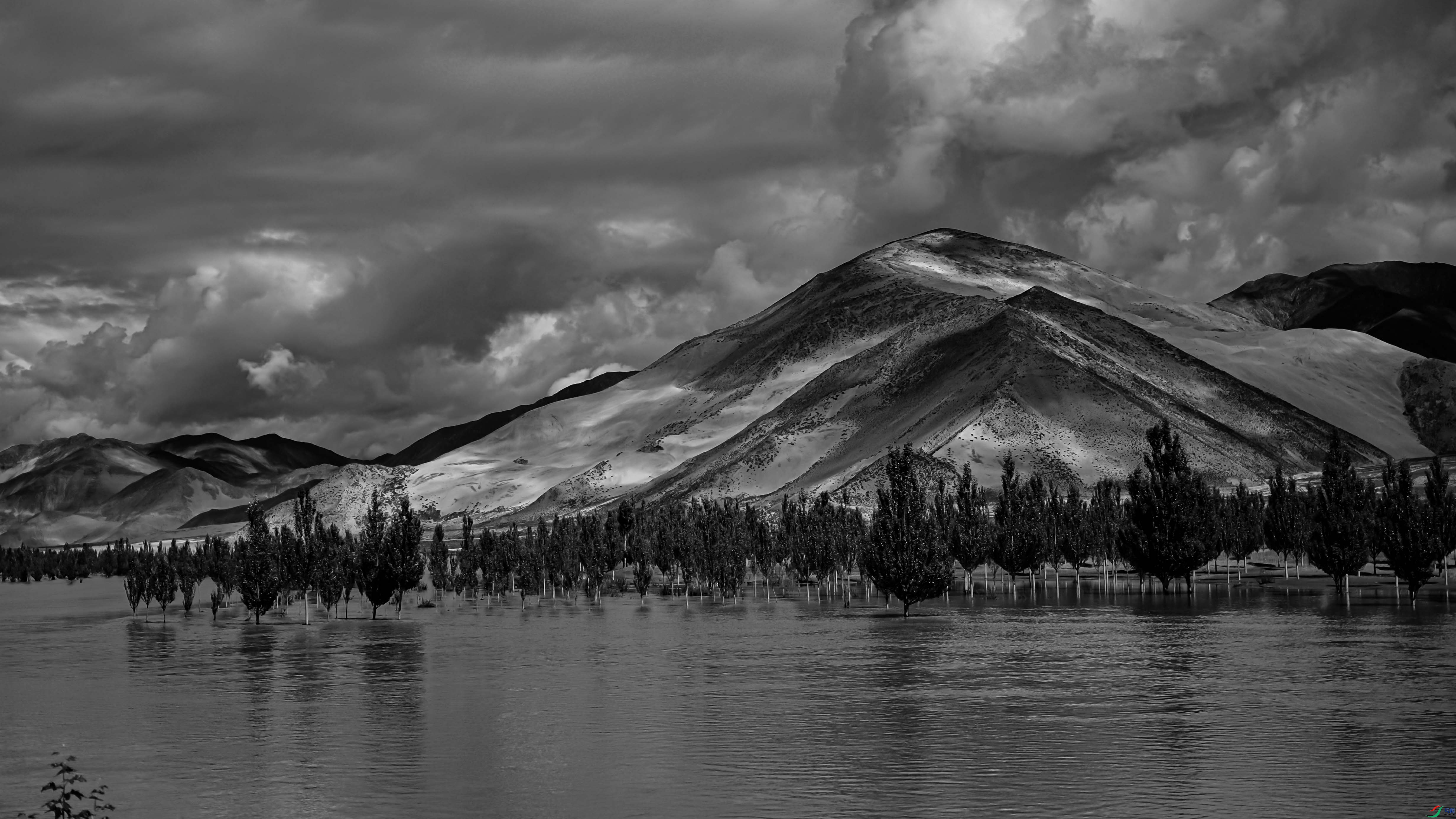 DSC_2239.jpg