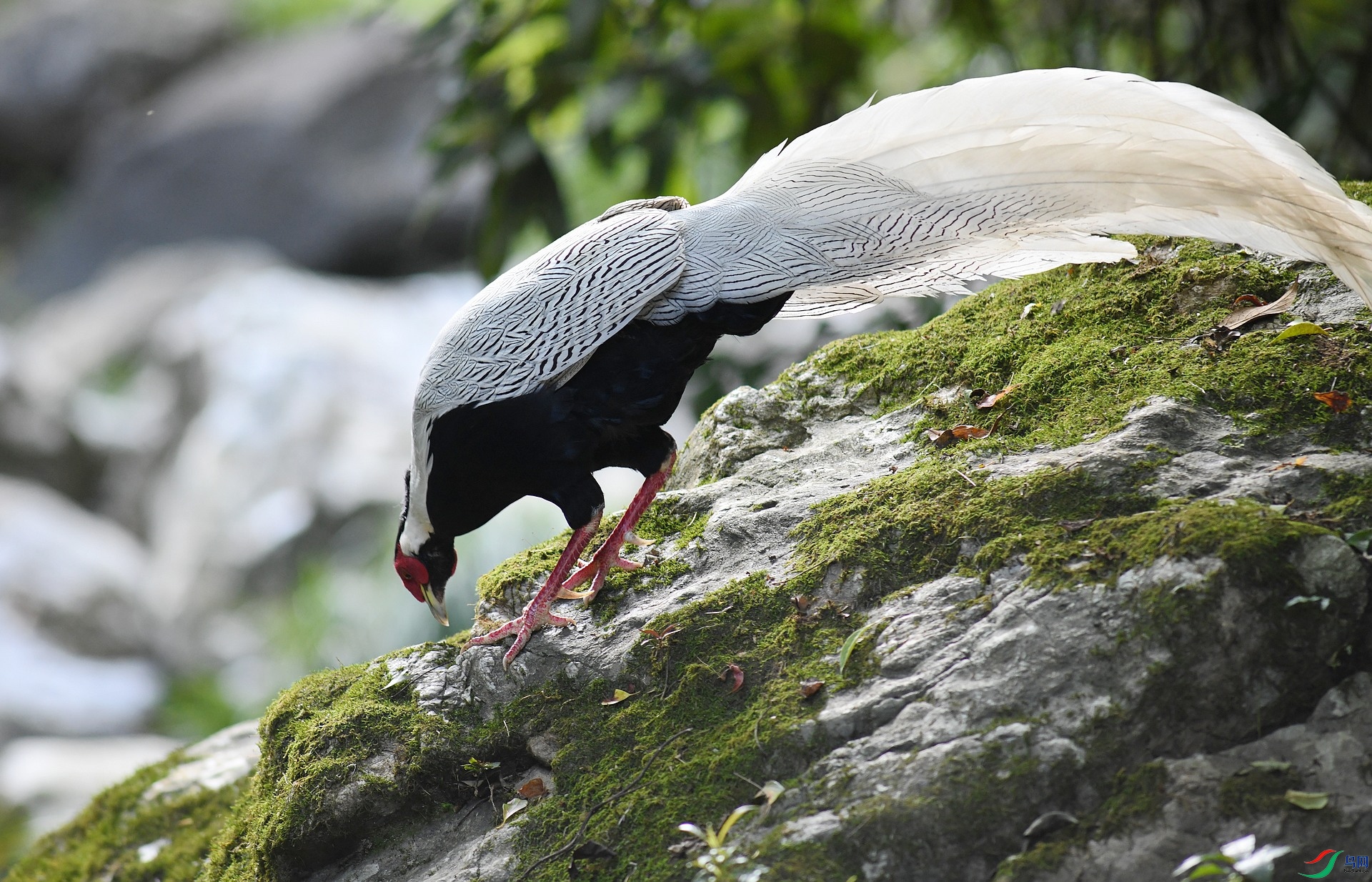 DSC_2619.jpg